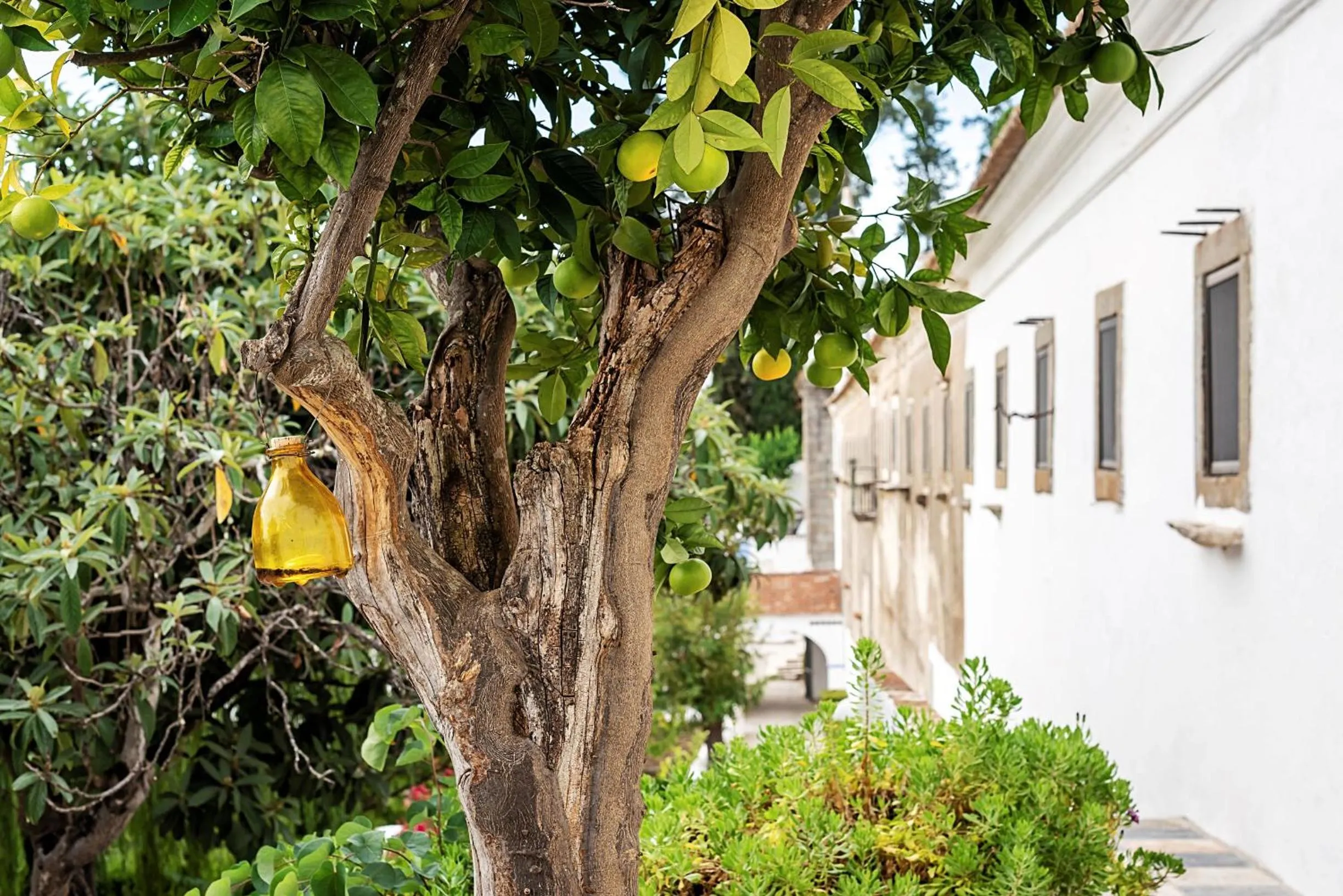 Natural landscape in Convento Sao Paulo - Hotel Rural