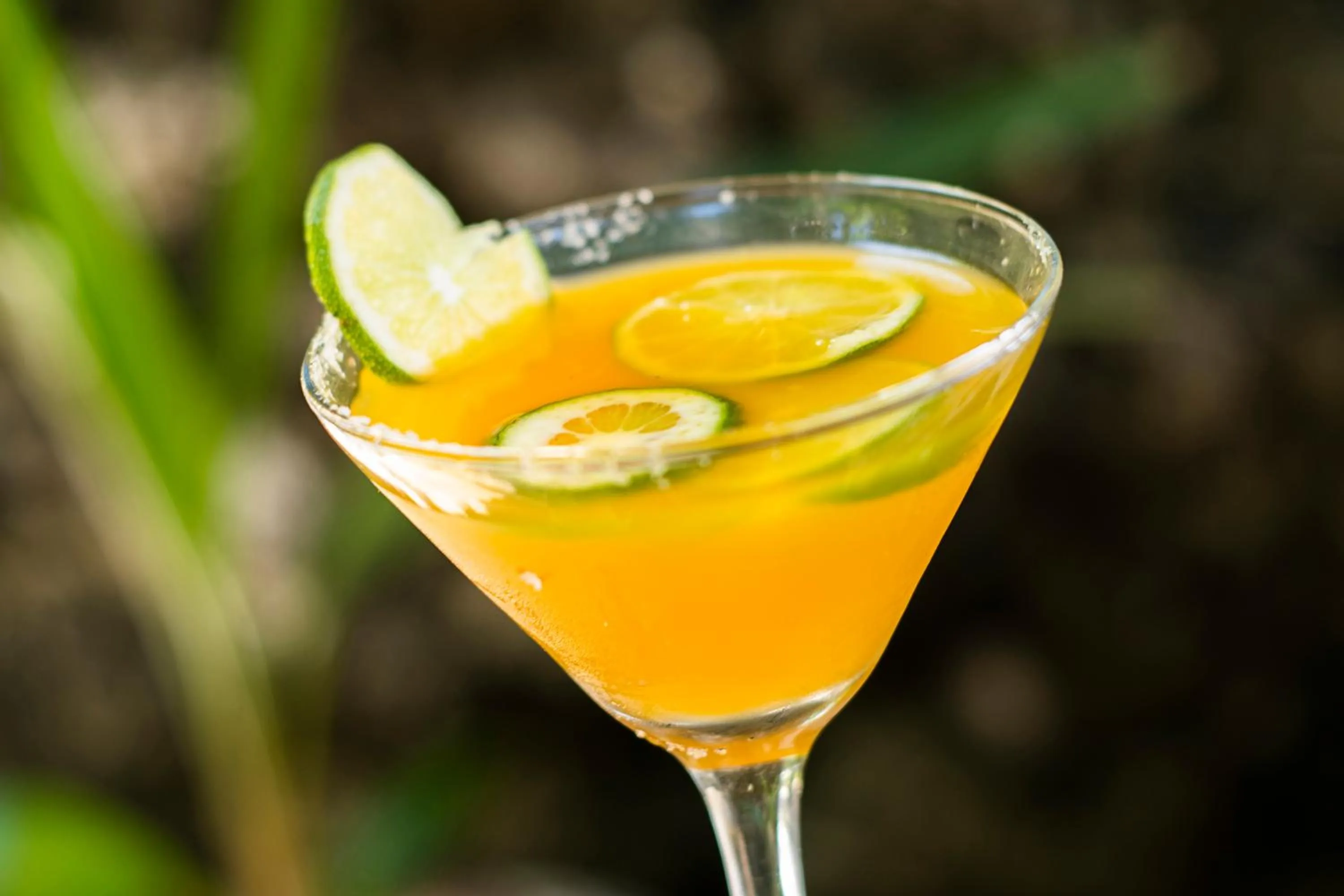 Restaurant/places to eat in Isla Tijereto