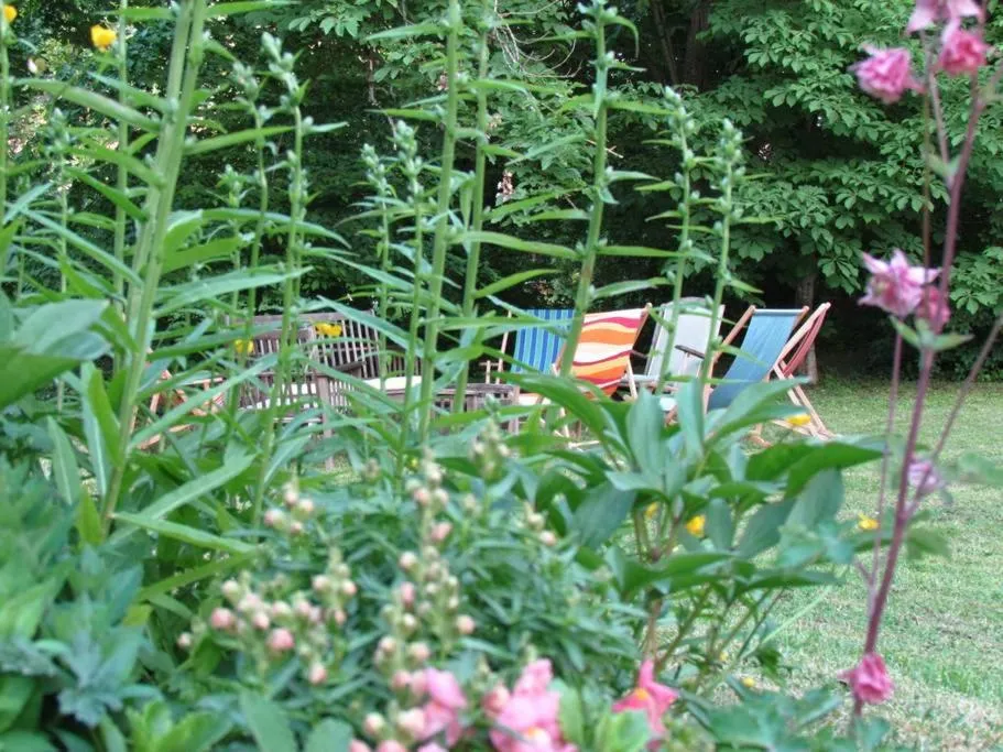 Garden in Le Meix Gautheret