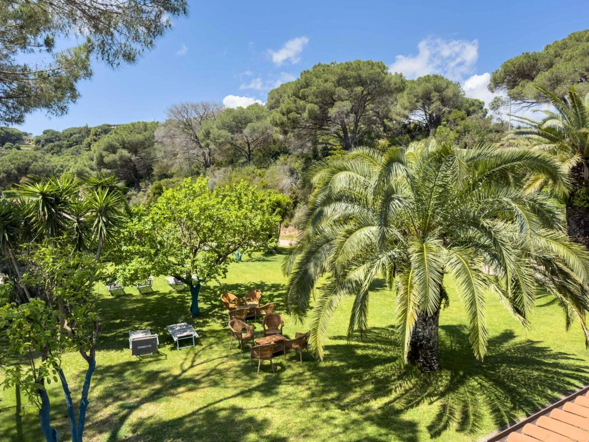 Garden in Hotel Villa Rodriguez