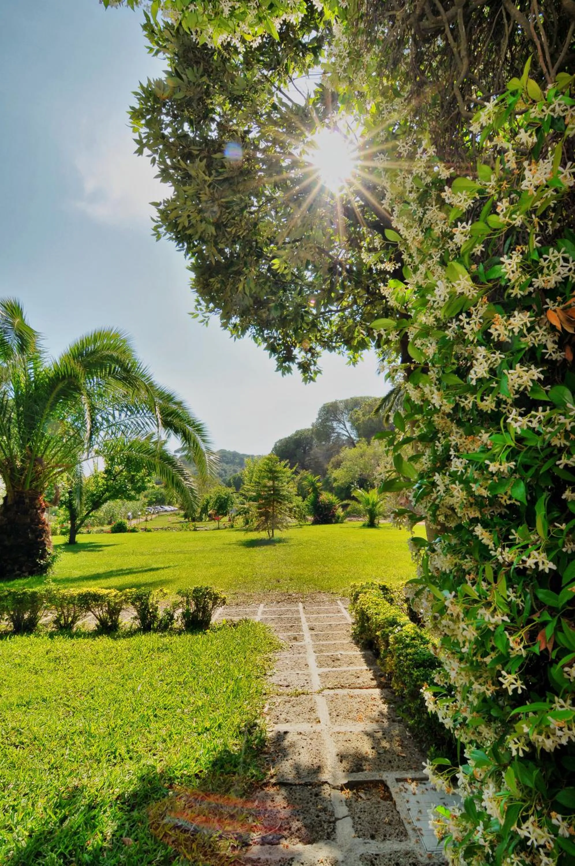 Garden in Hotel Villa Rodriguez