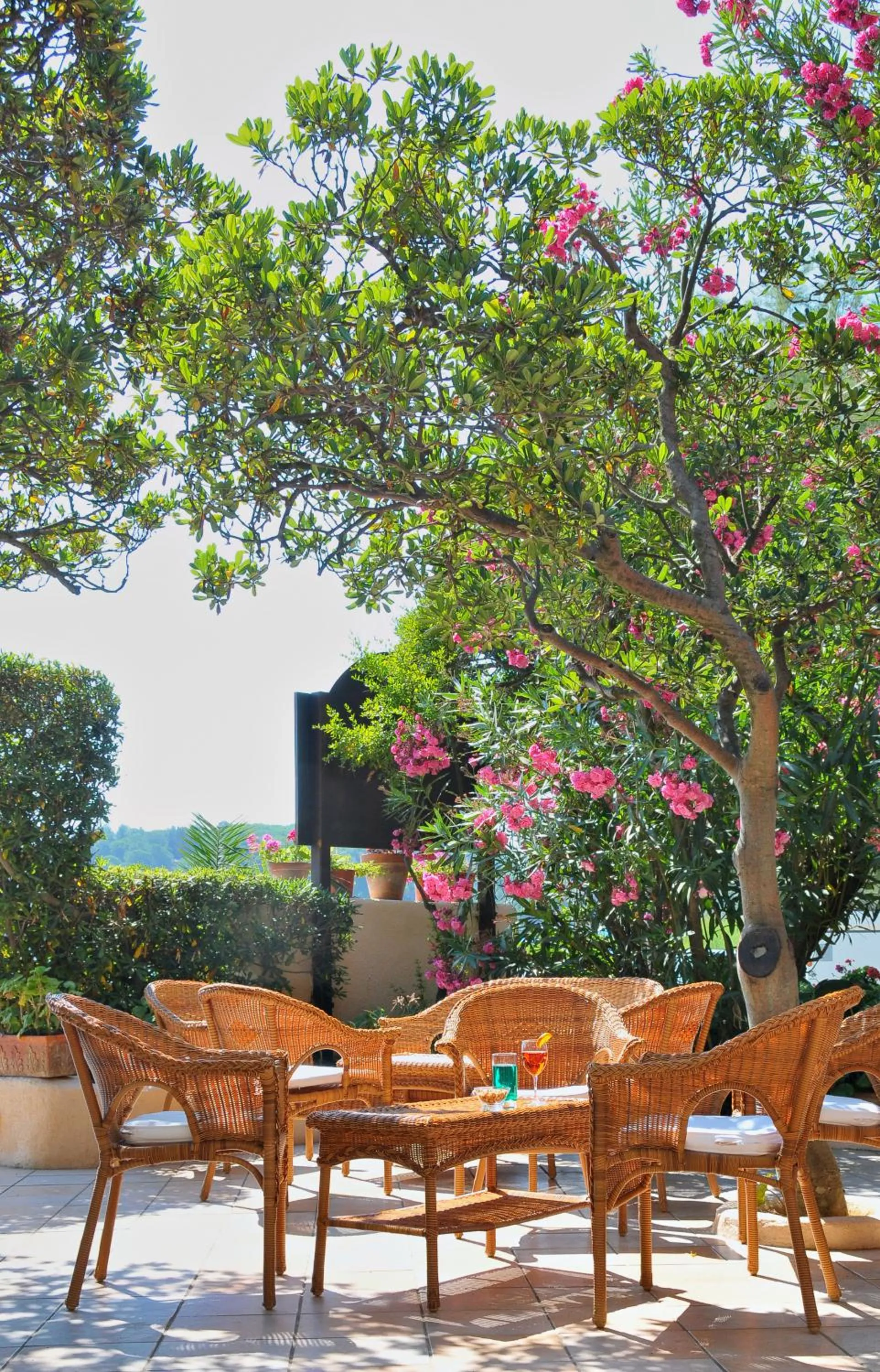 Lounge or bar in Hotel Villa Rodriguez