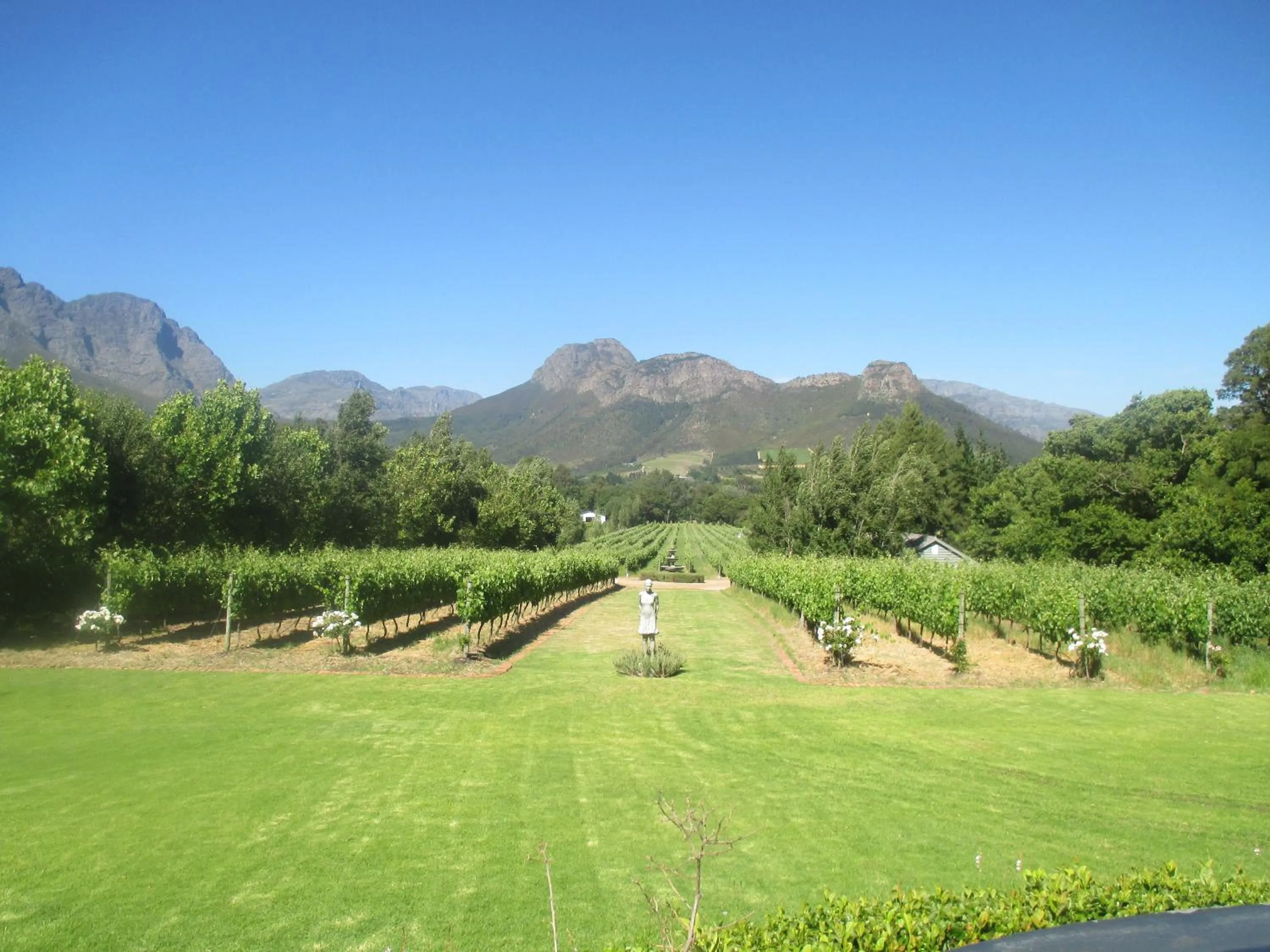 Mountain view in Franschhoek Rose Cottages