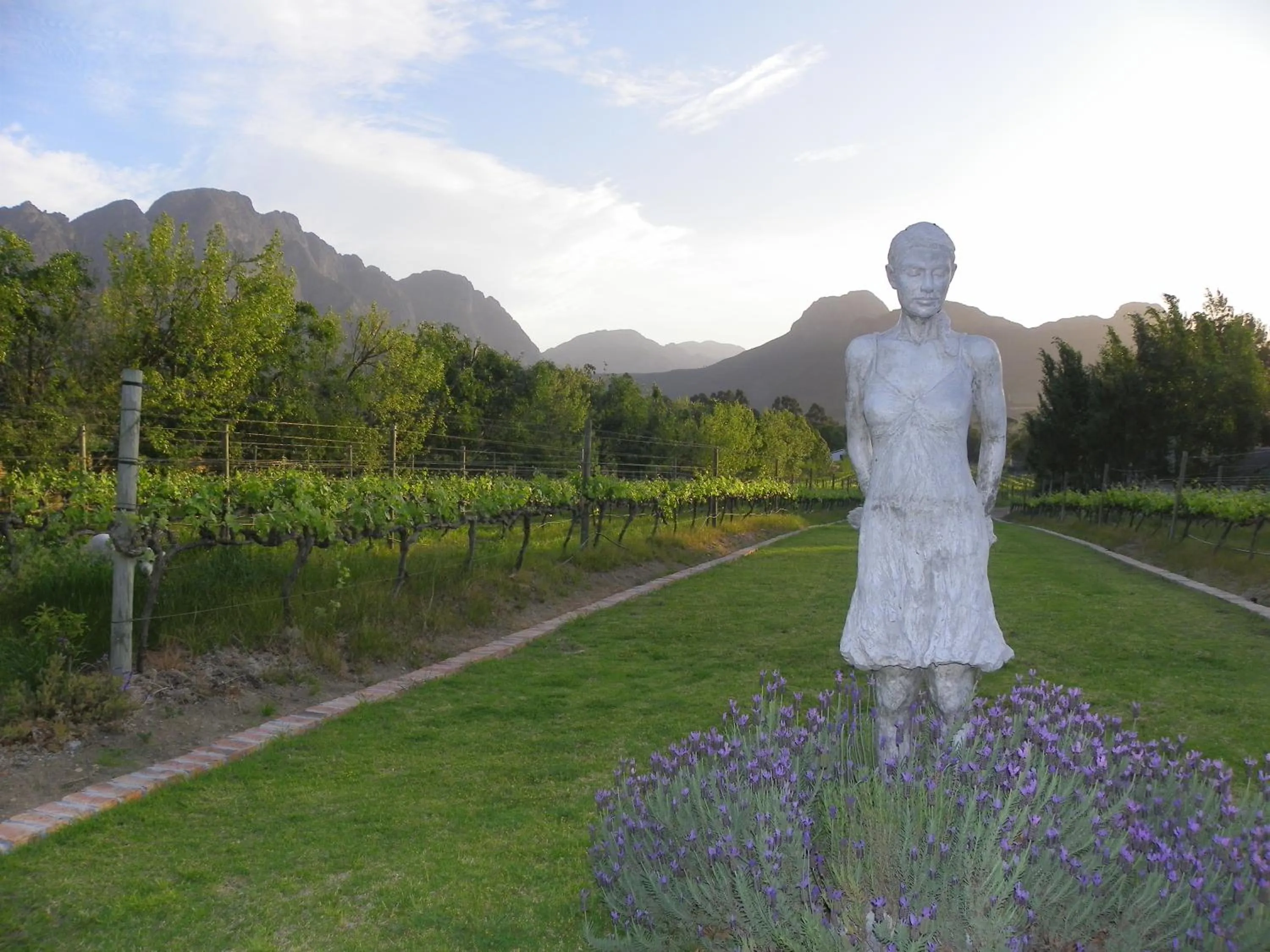 Garden view in Franschhoek Rose Cottages
