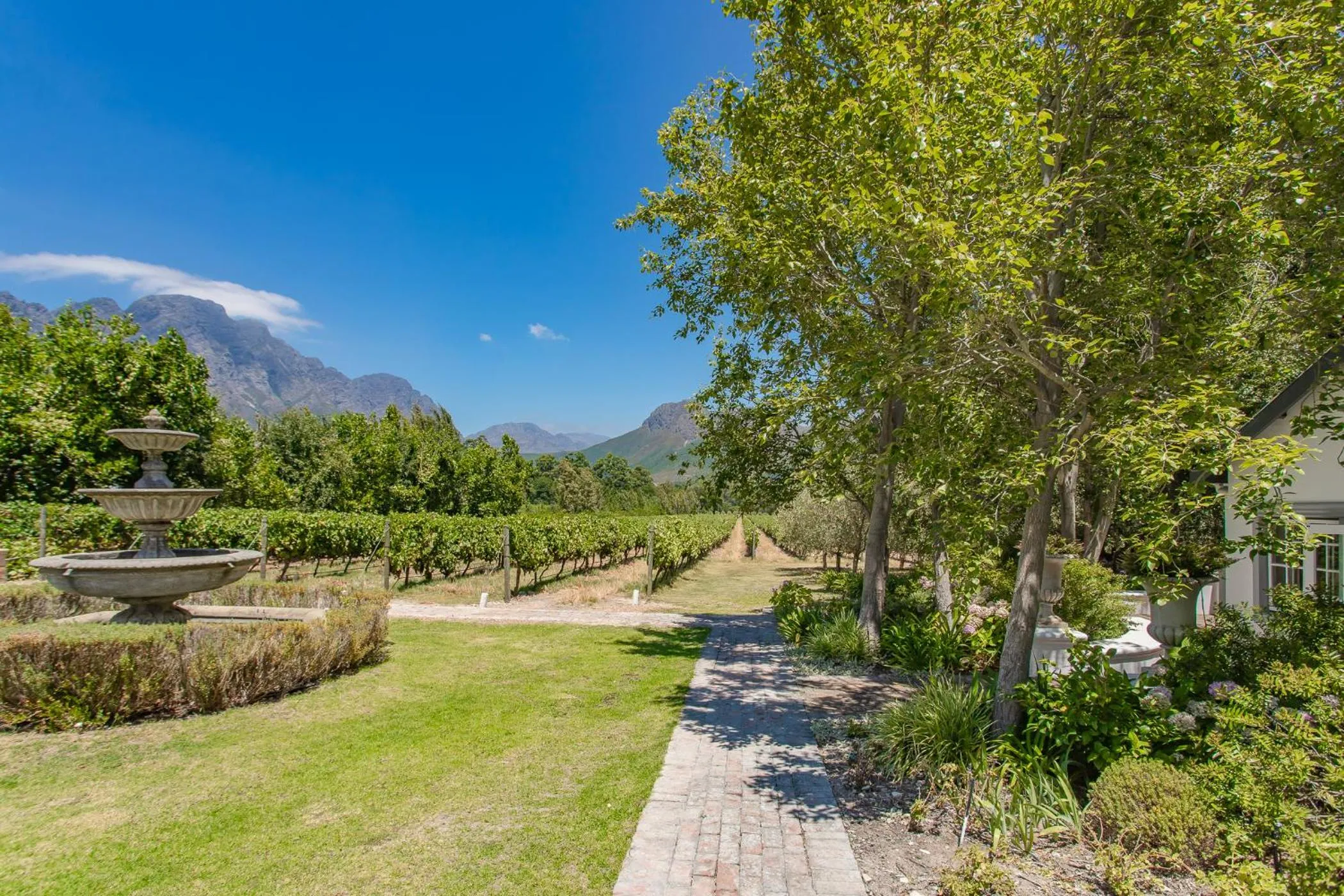 Garden view in Franschhoek Rose Cottages