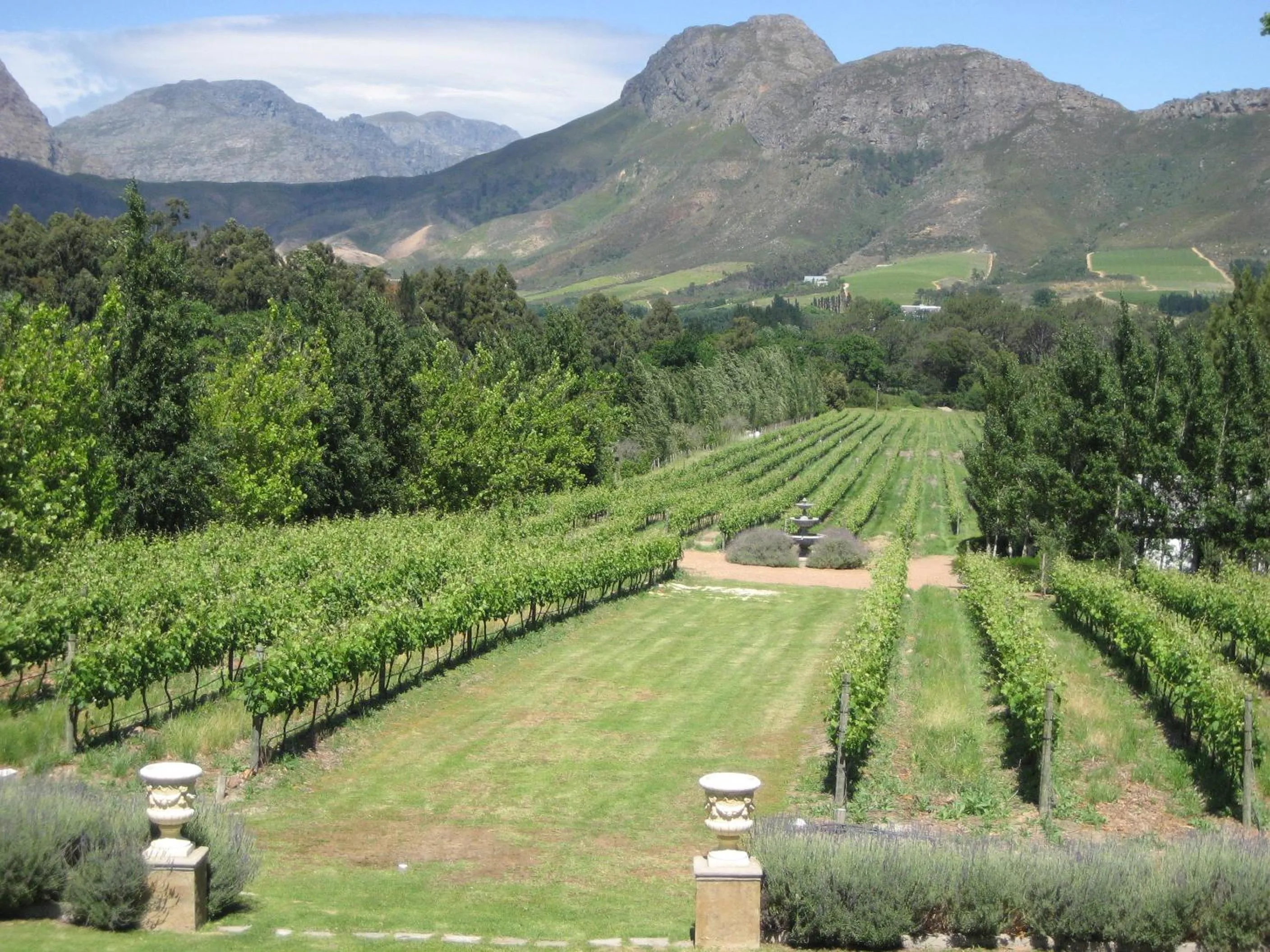 Mountain view in Franschhoek Rose Cottages