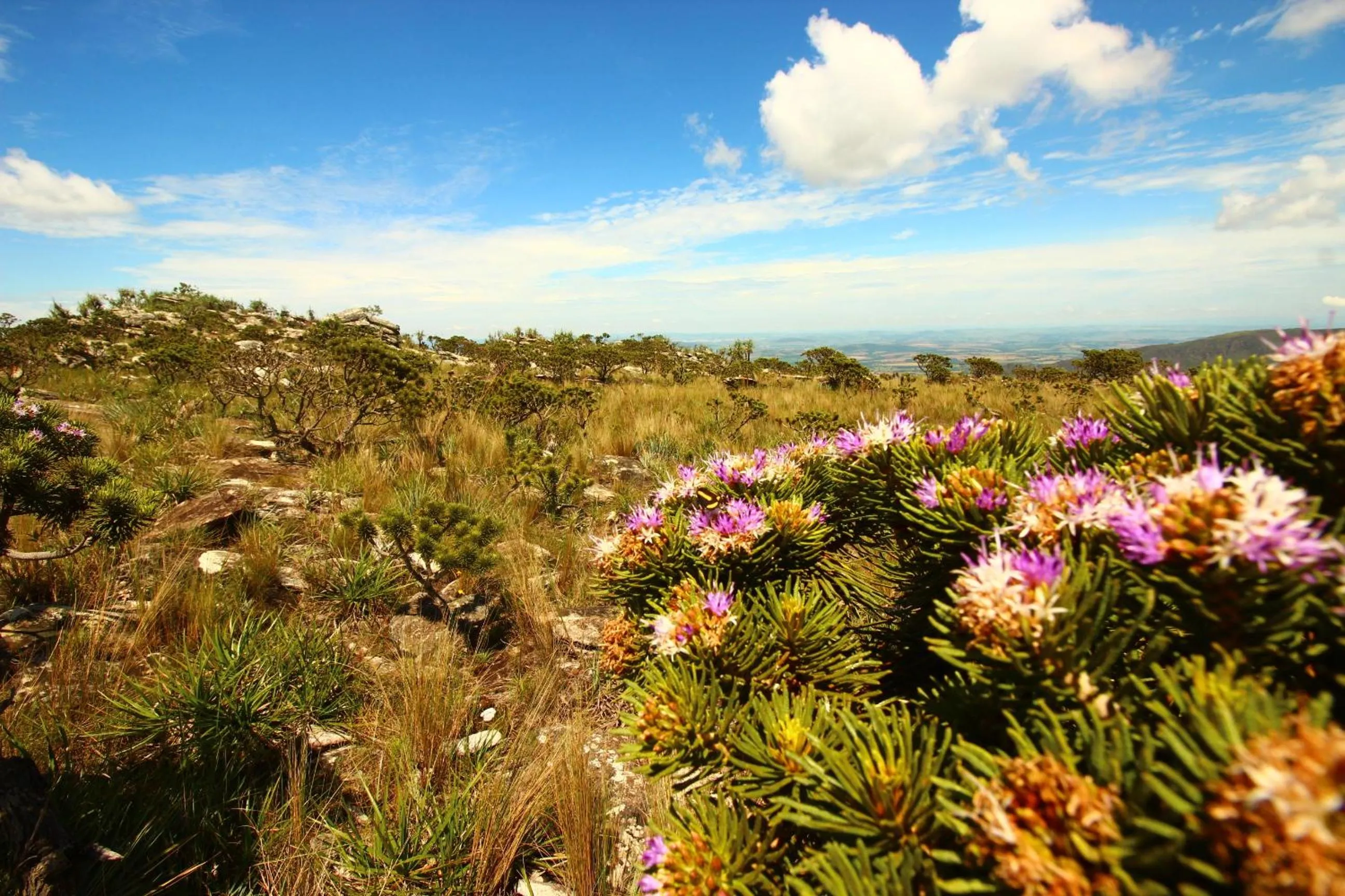 Natural landscape in Pousada Sempre Viva