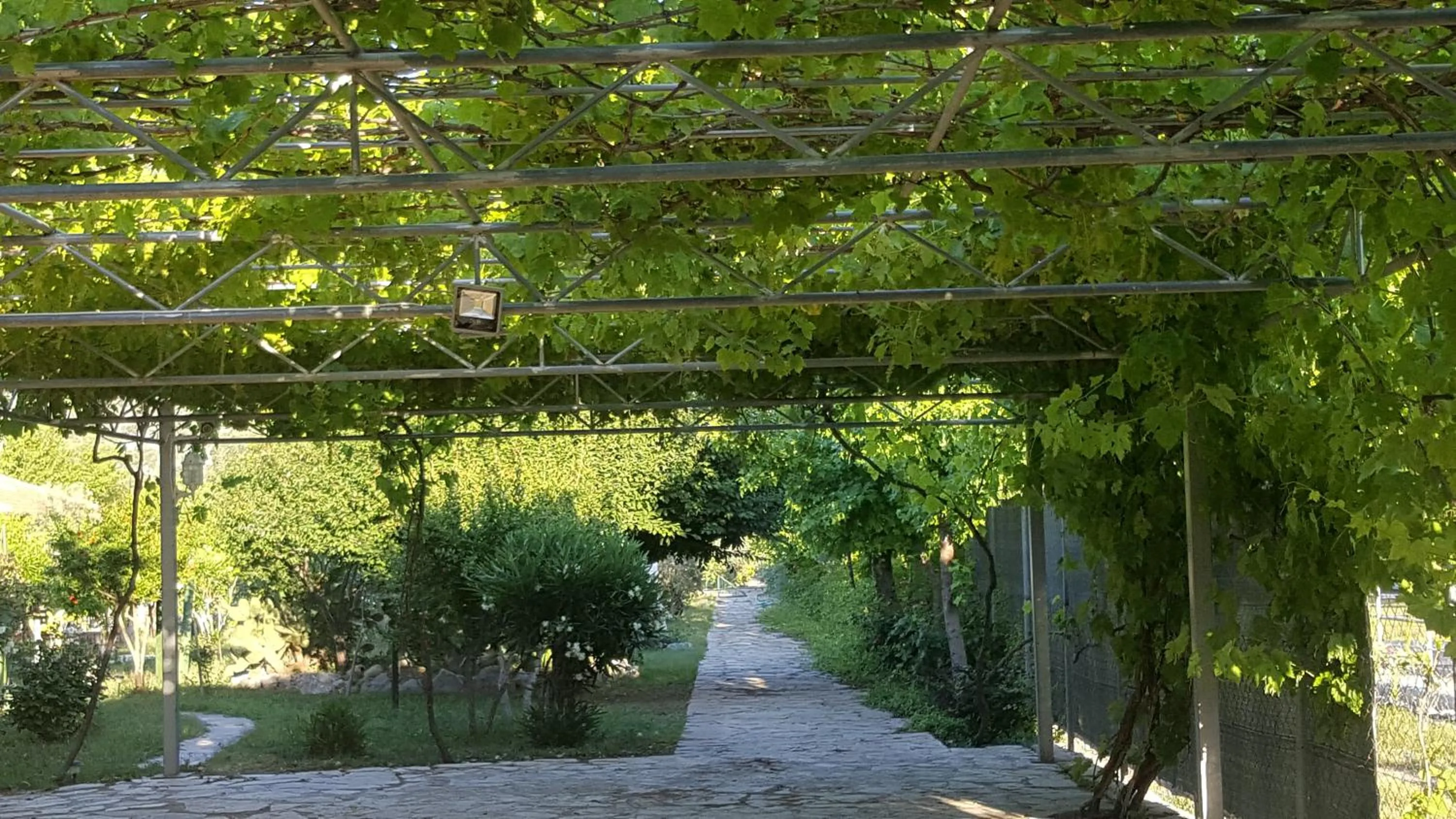 Area and facilities in Bahaus Resort