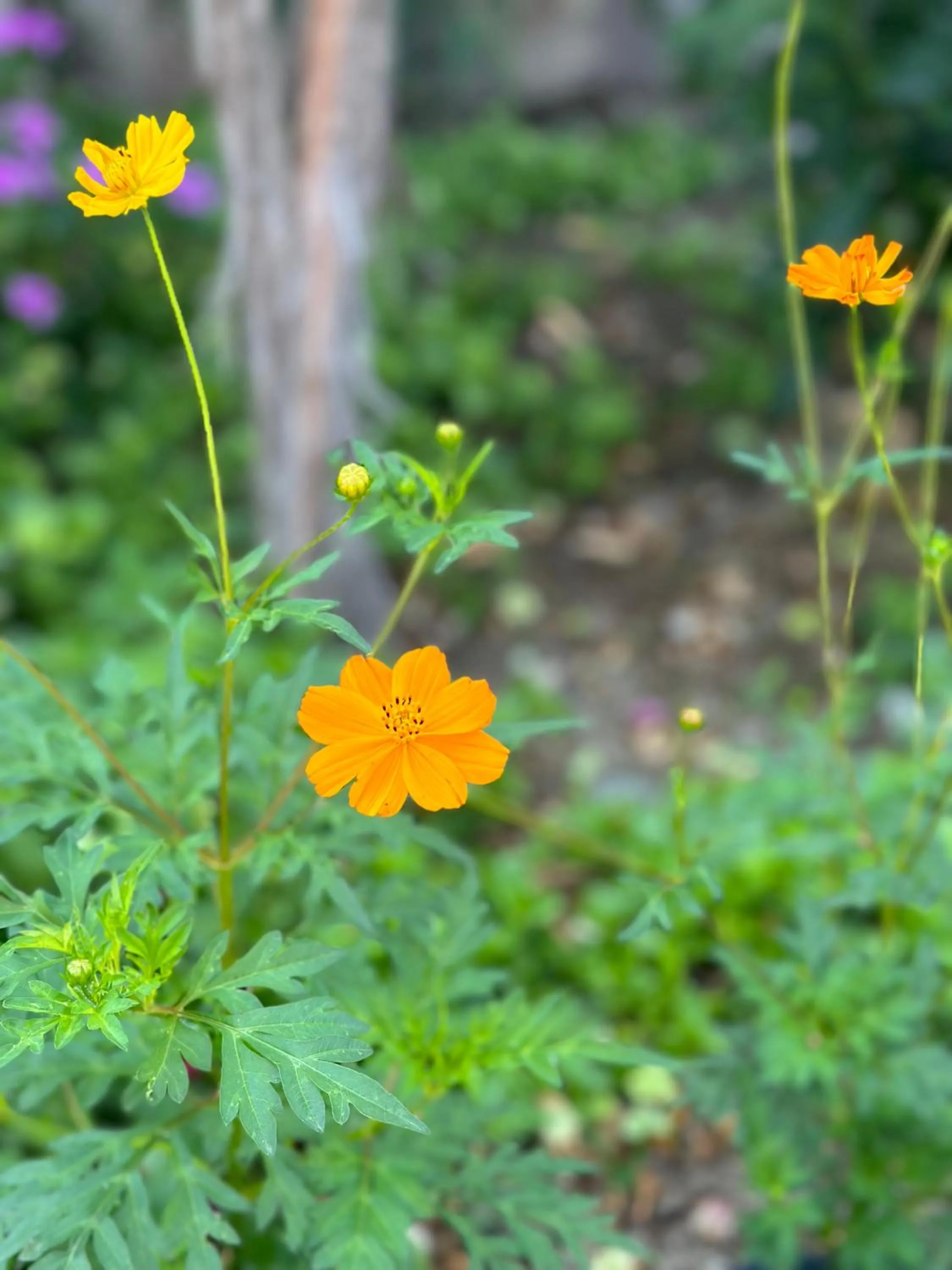 Off site in Bahaus Resort