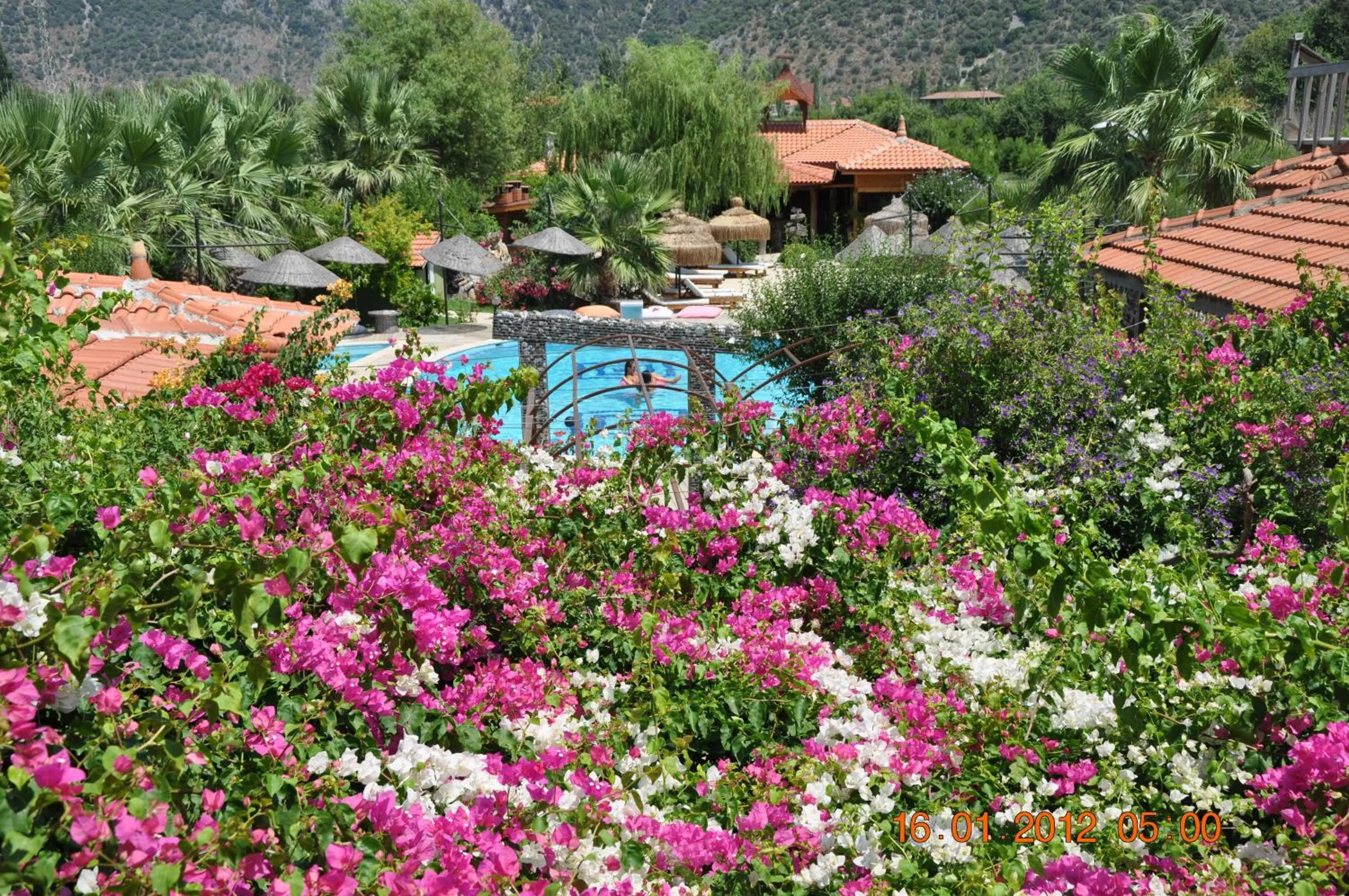 Garden view in Bahaus Resort