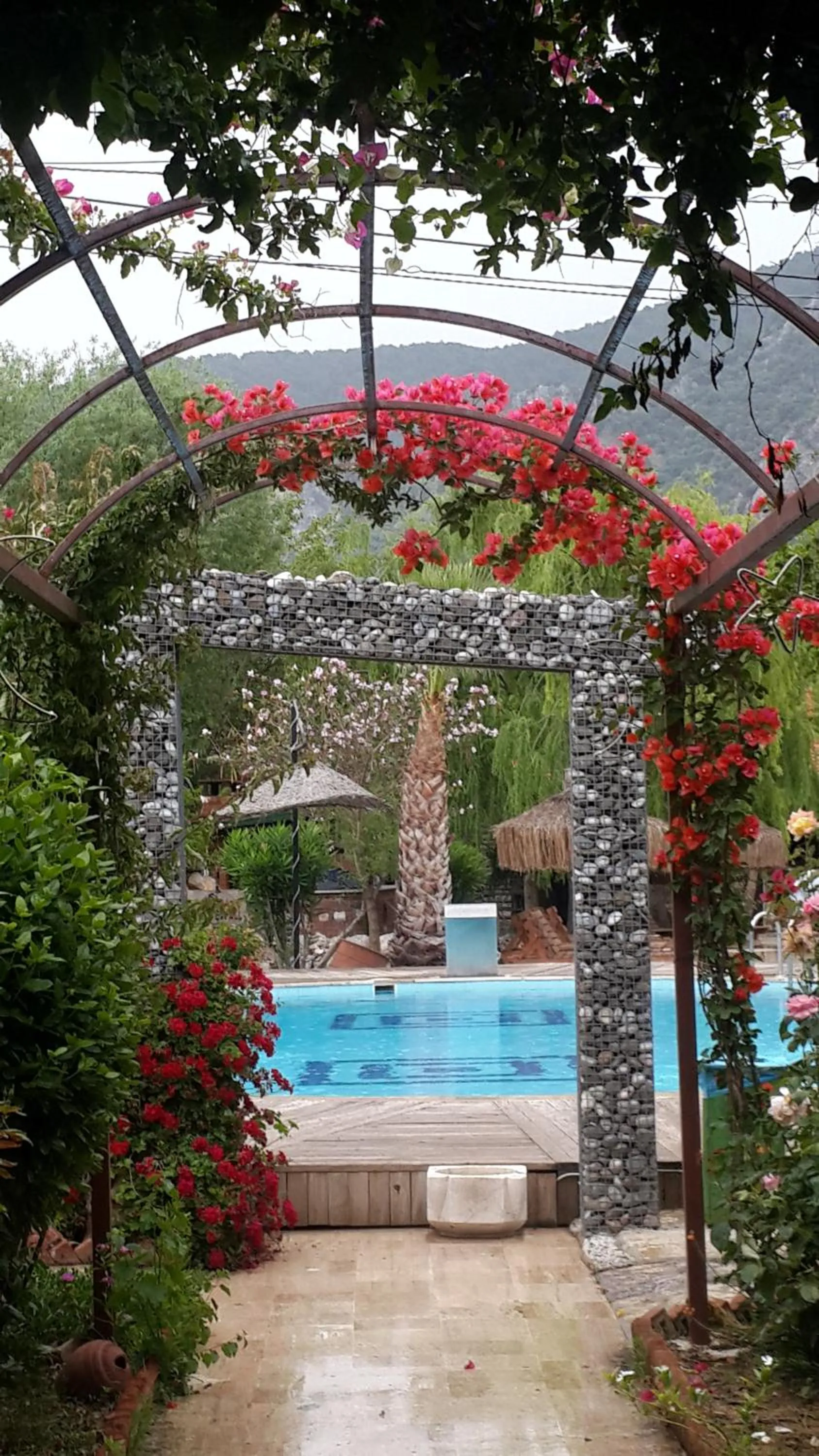 Swimming pool in Bahaus Resort