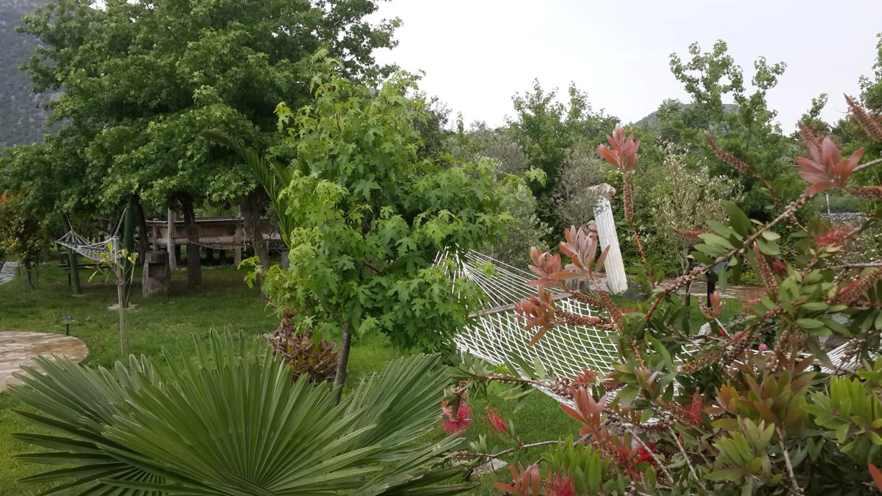 Garden in Bahaus Resort