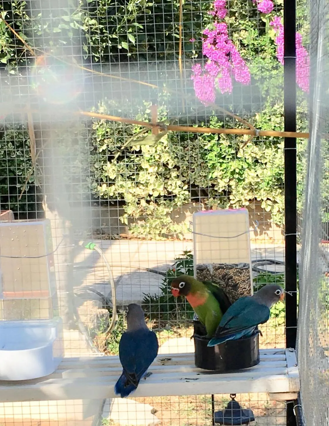 Chambre d'hôtes L'intemporelle