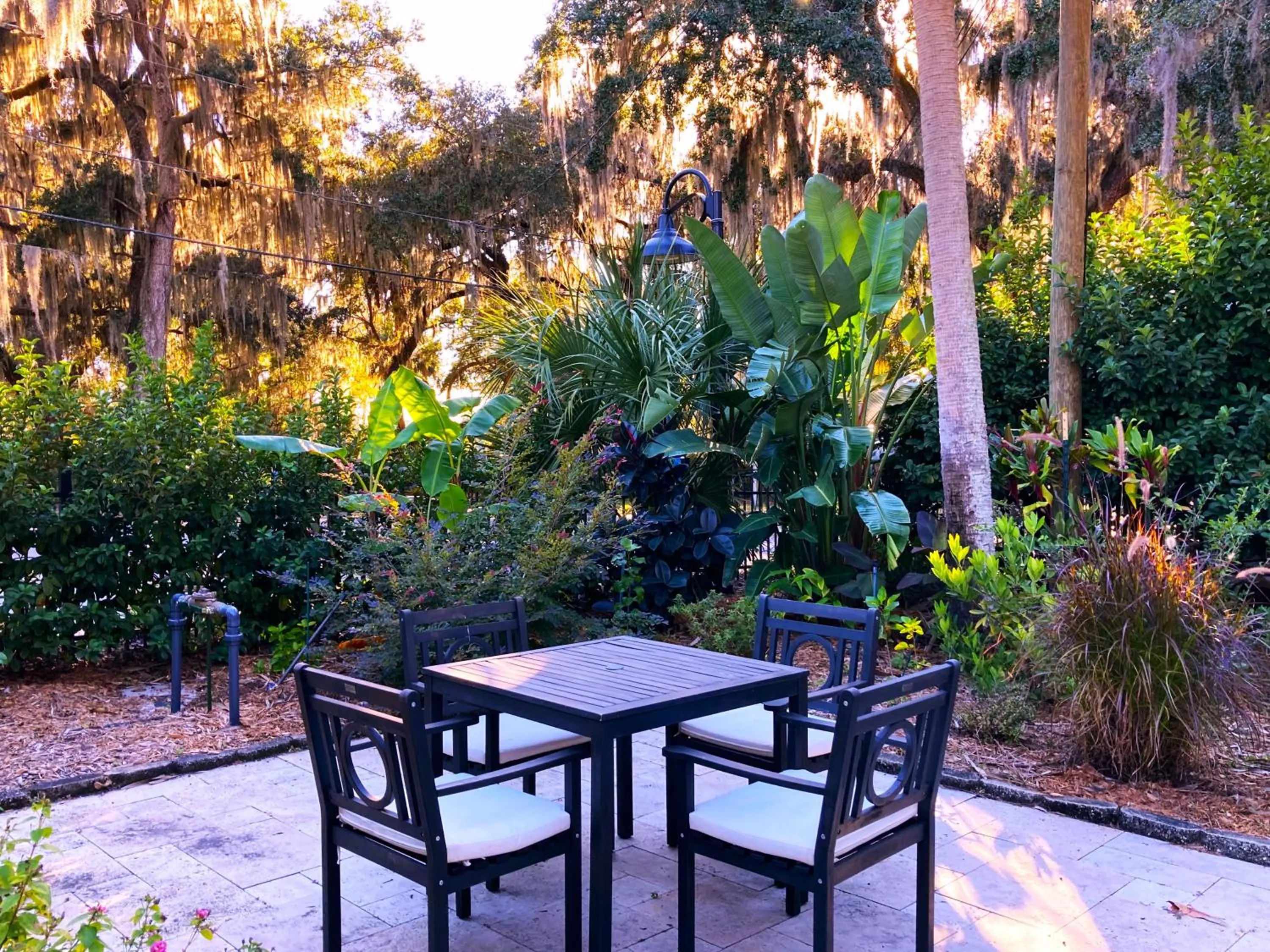 Spring in Retreat at Crystal Manatee