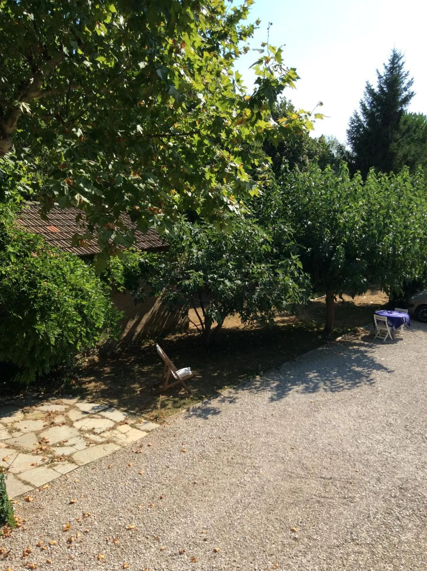 Garden view in Rêve d’Emma