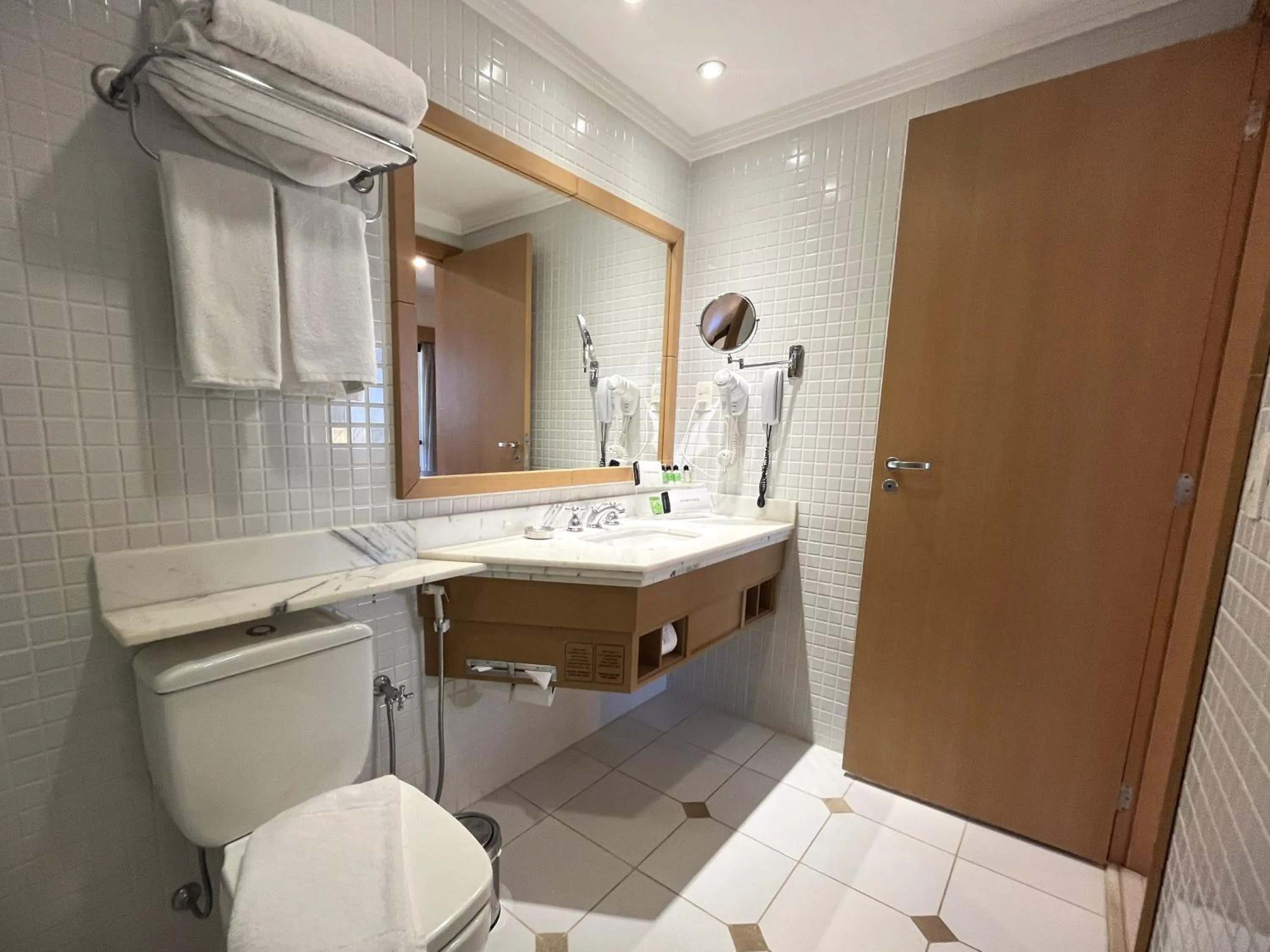 Toilet in Araucaria Plaza