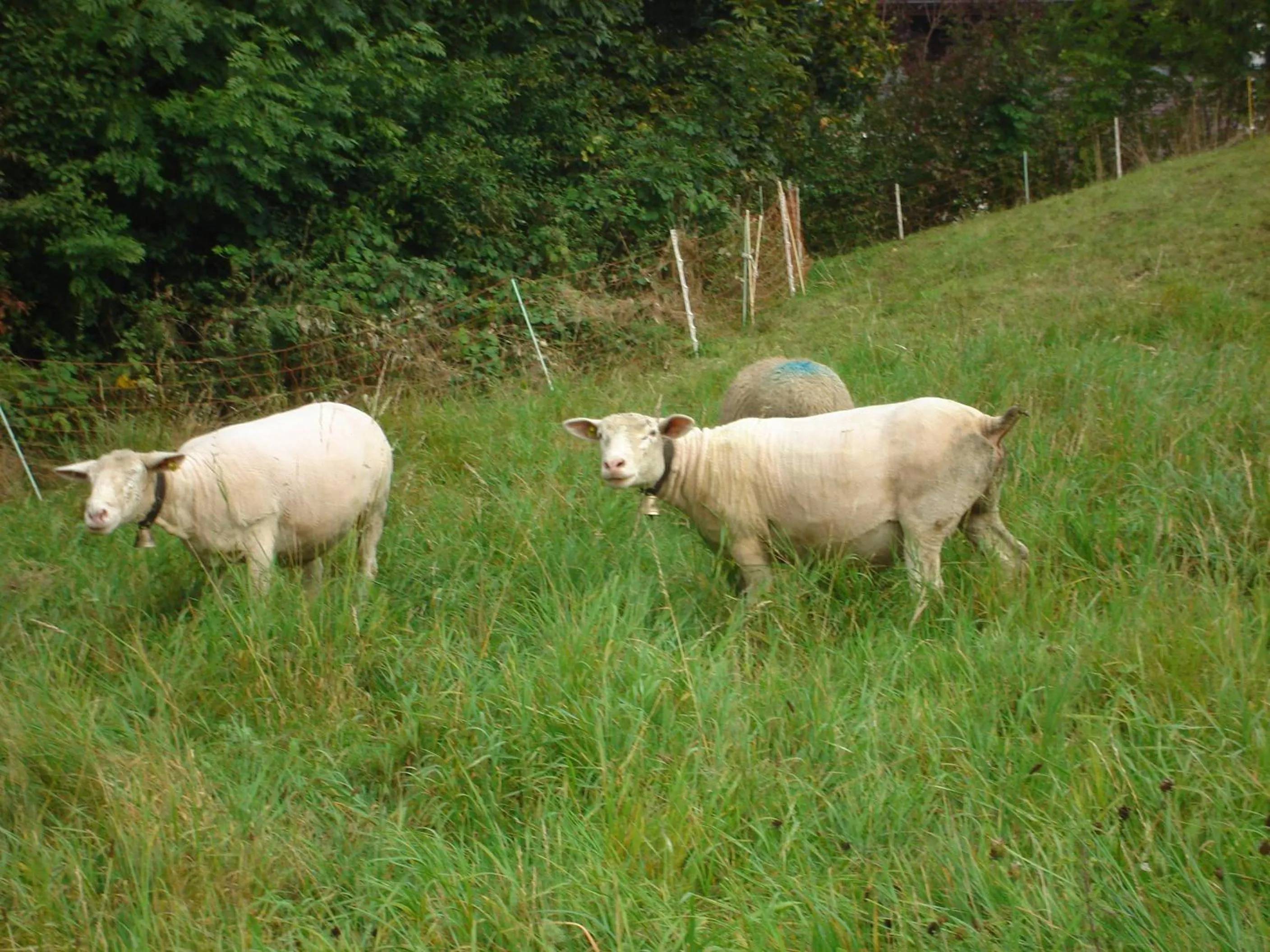 Area and facilities in Hotel Milan B&B