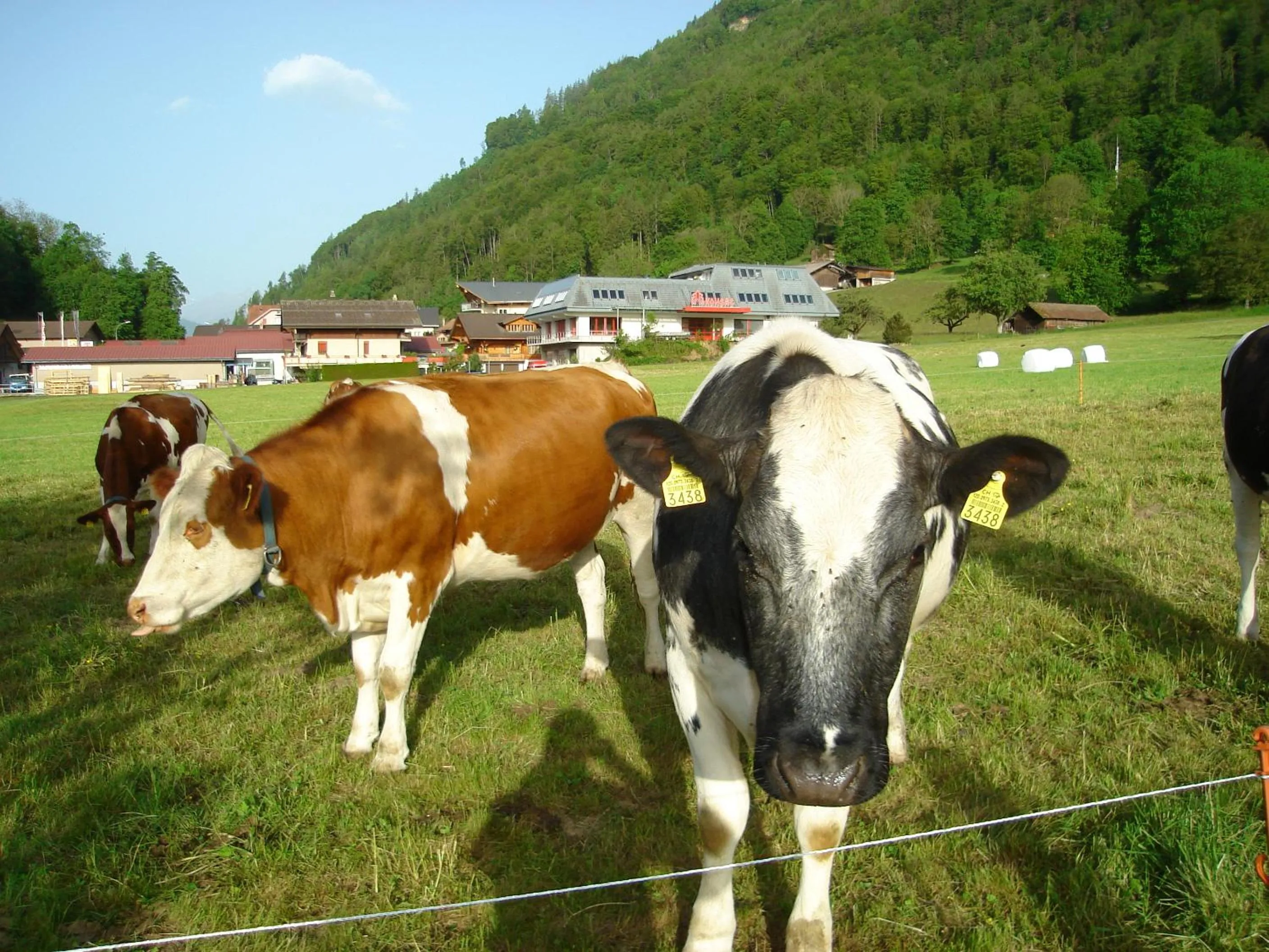 Area and facilities in Hotel Milan B&B