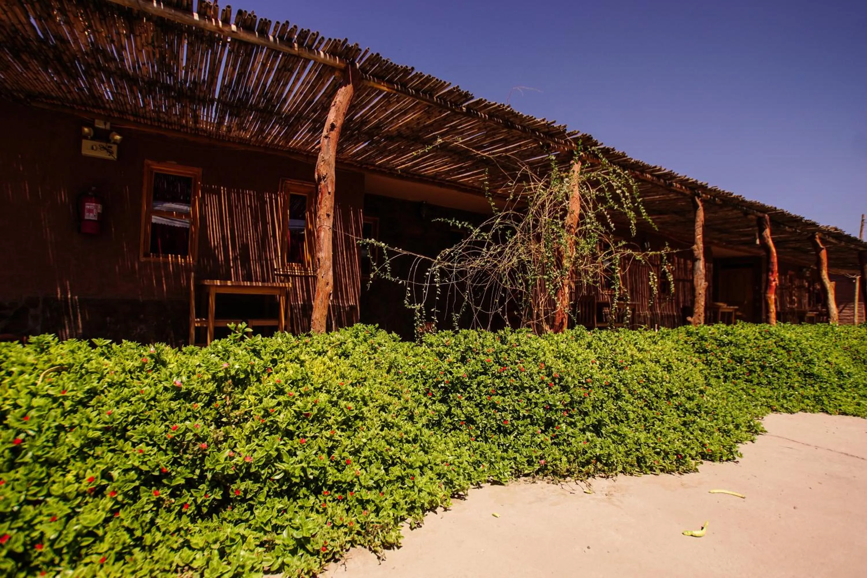 Patio in Casa Lickana B&B