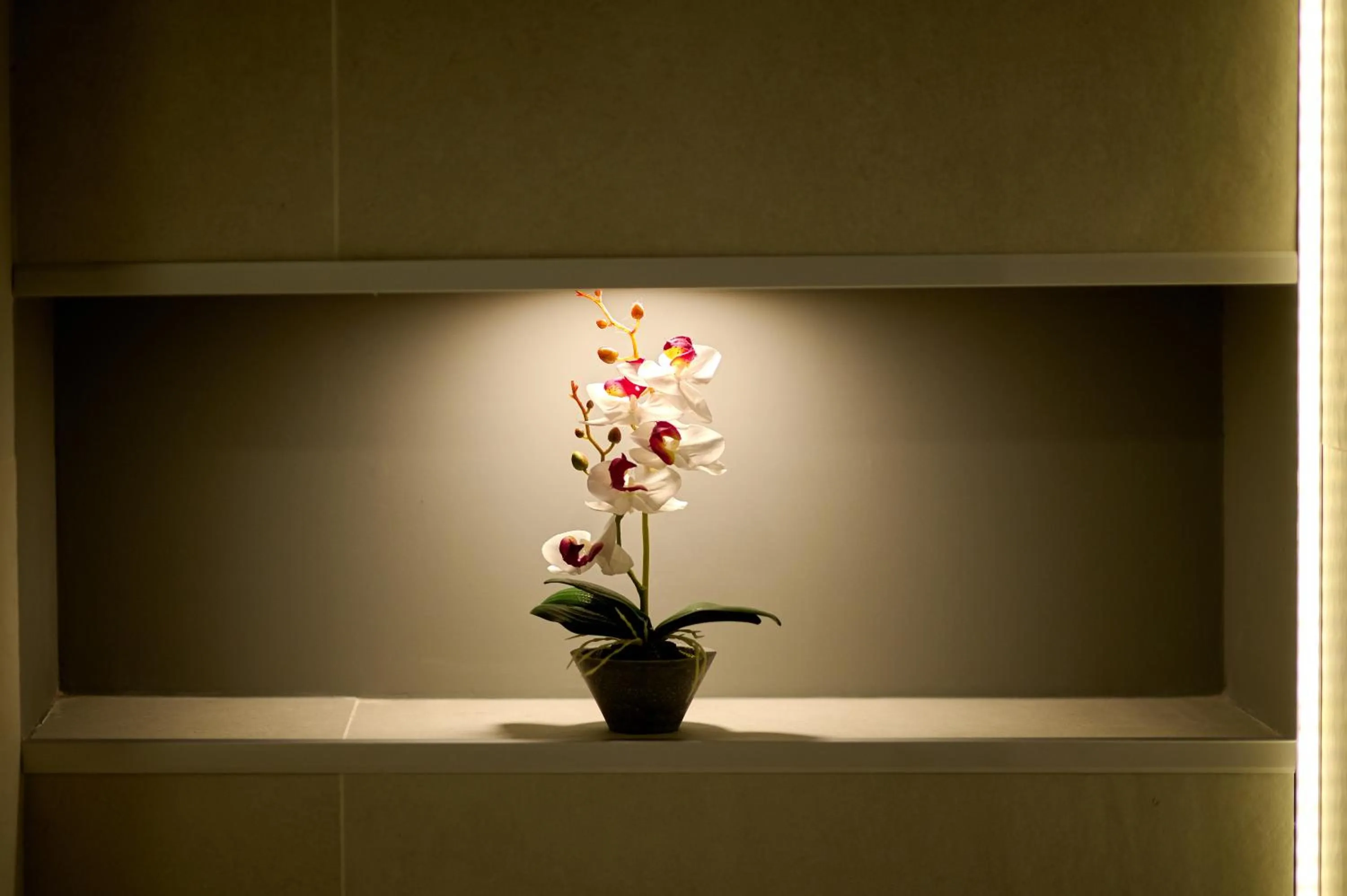 Bathroom in Hotel Malibu