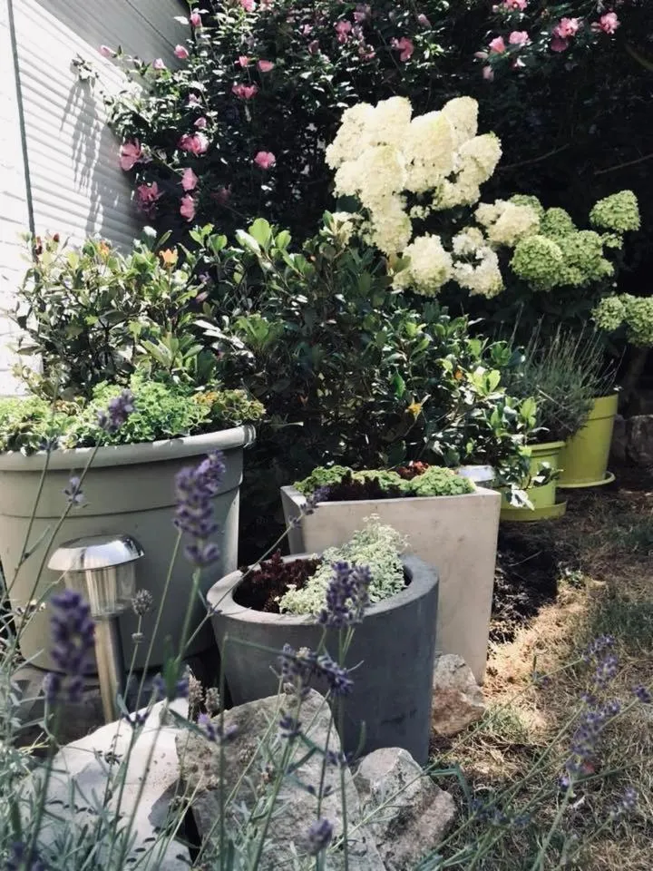 Chambres d'Hôtes Les Foulons