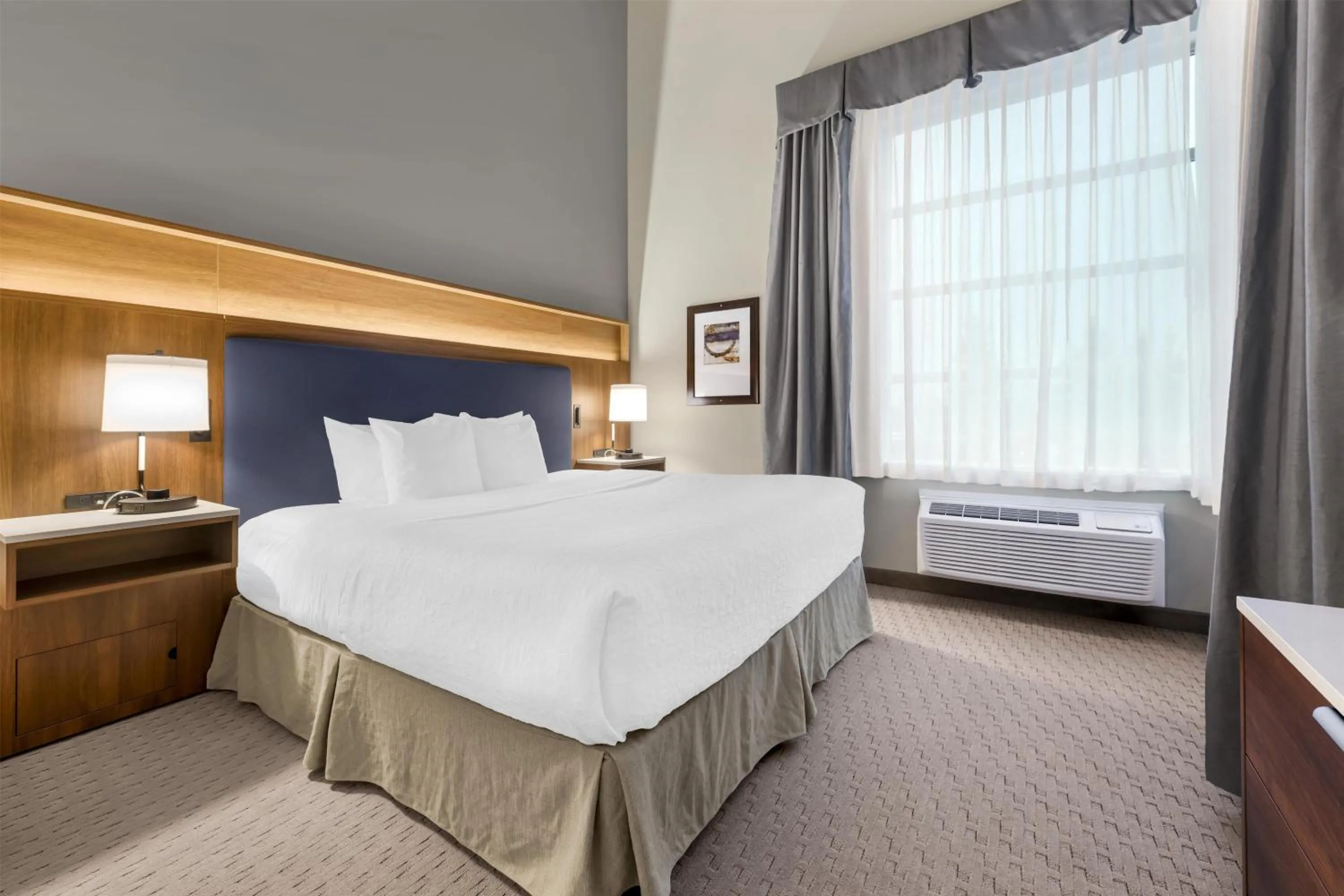 Photo of the whole room, Bed in Best Western Plus Revelstoke