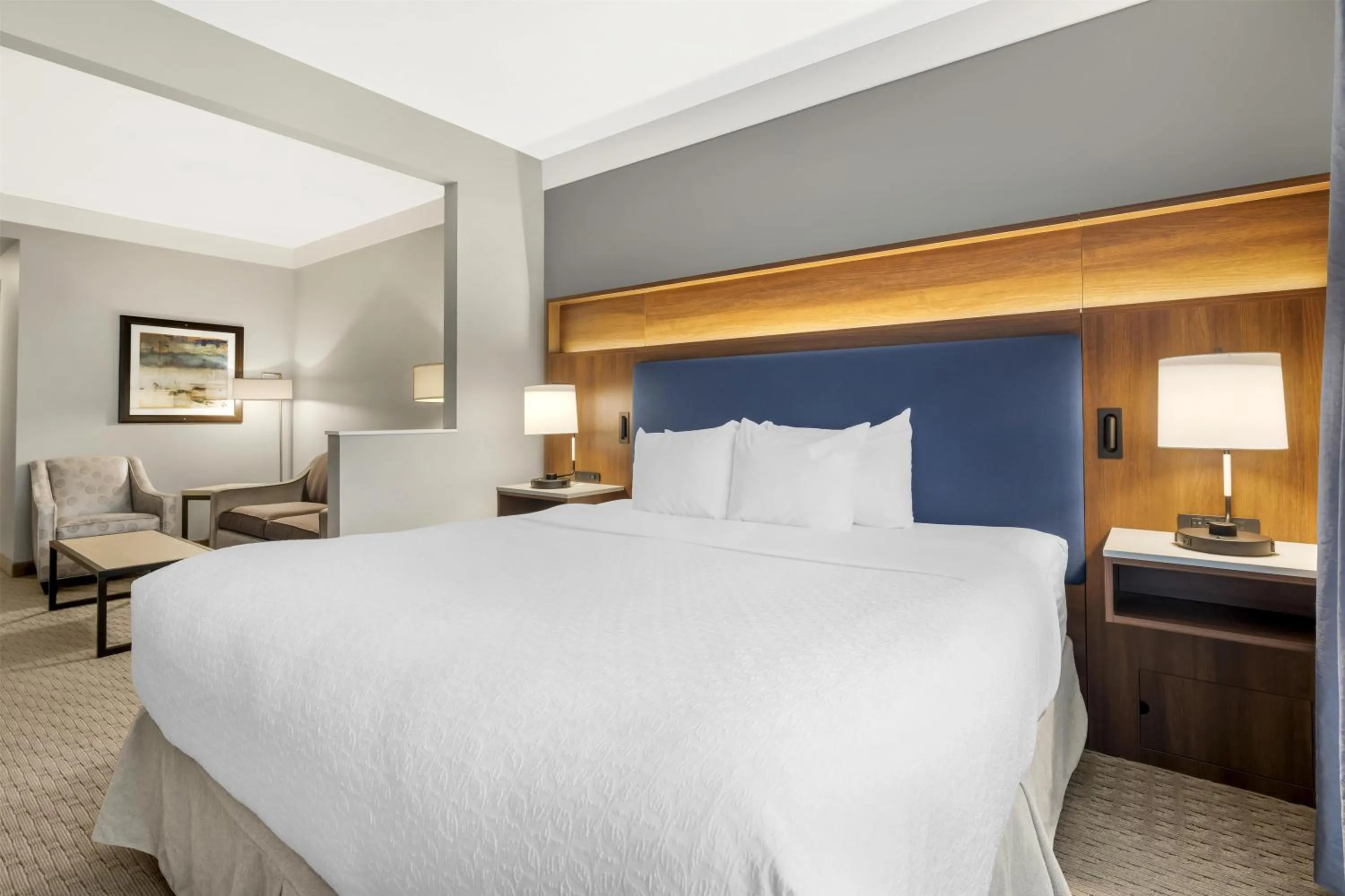 Photo of the whole room, Bed in Best Western Plus Revelstoke