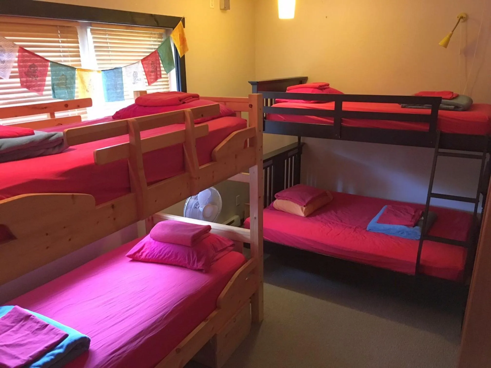 bunk bed, Bed in Dreamcatcher Hostel