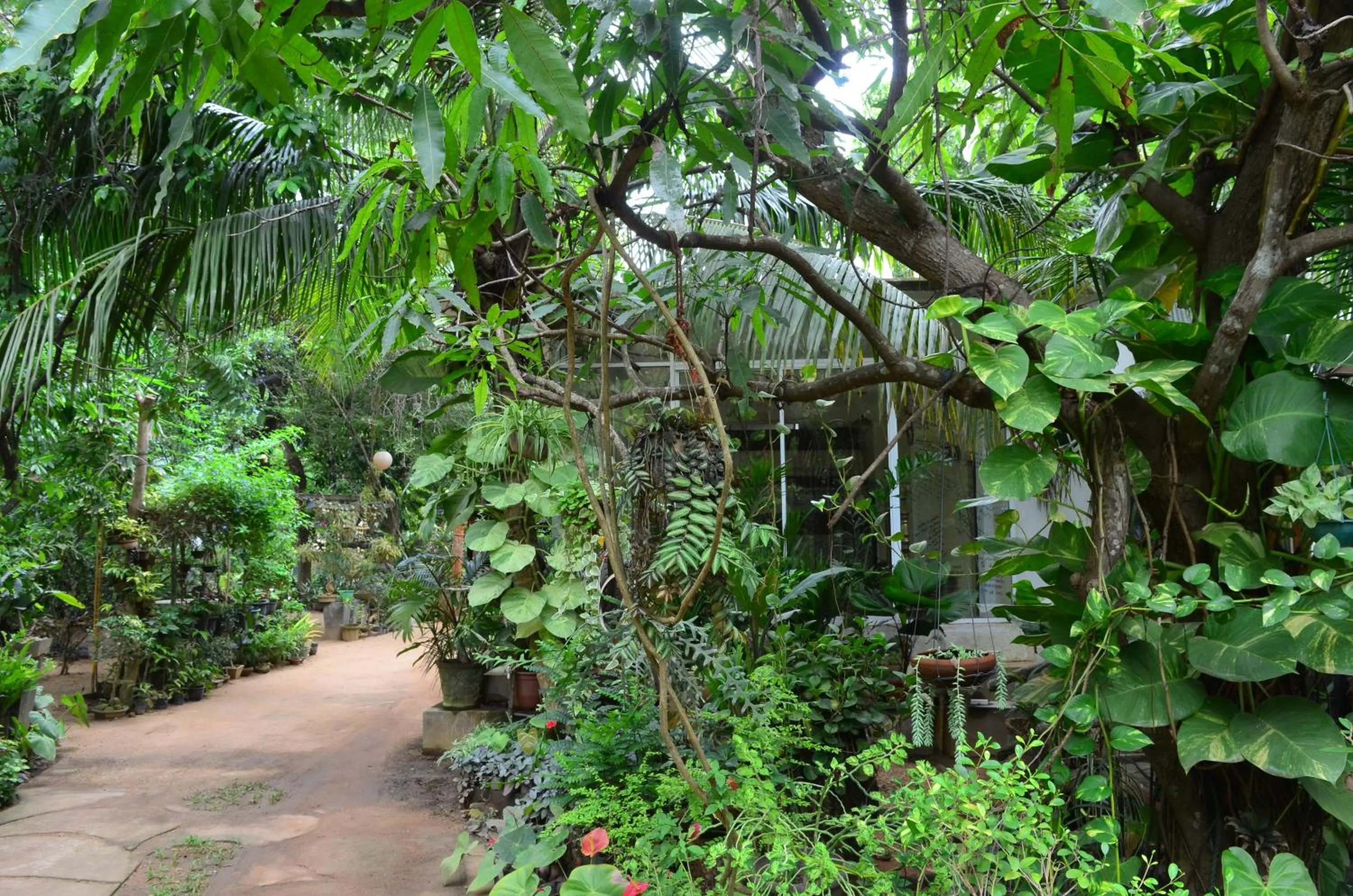 Natural landscape in Green Garden Resort