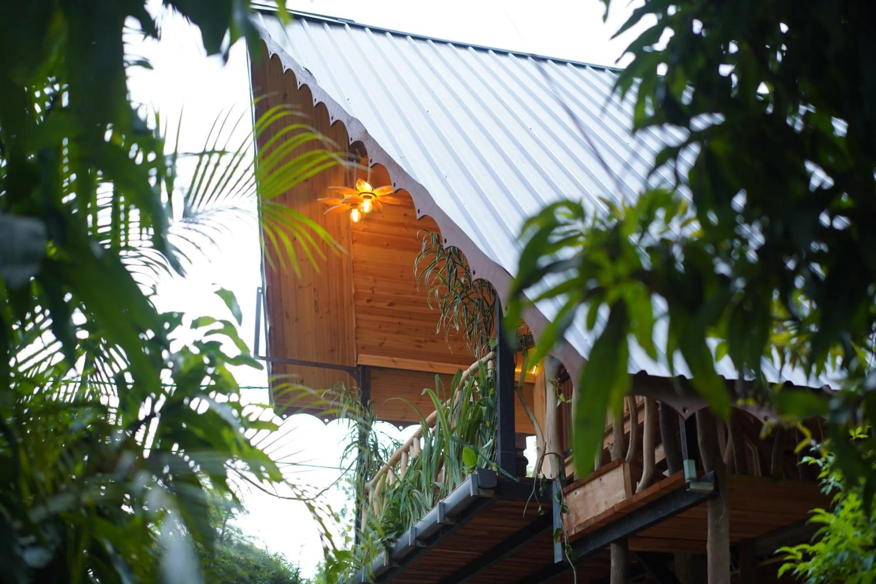 Garden view in Green Garden Resort