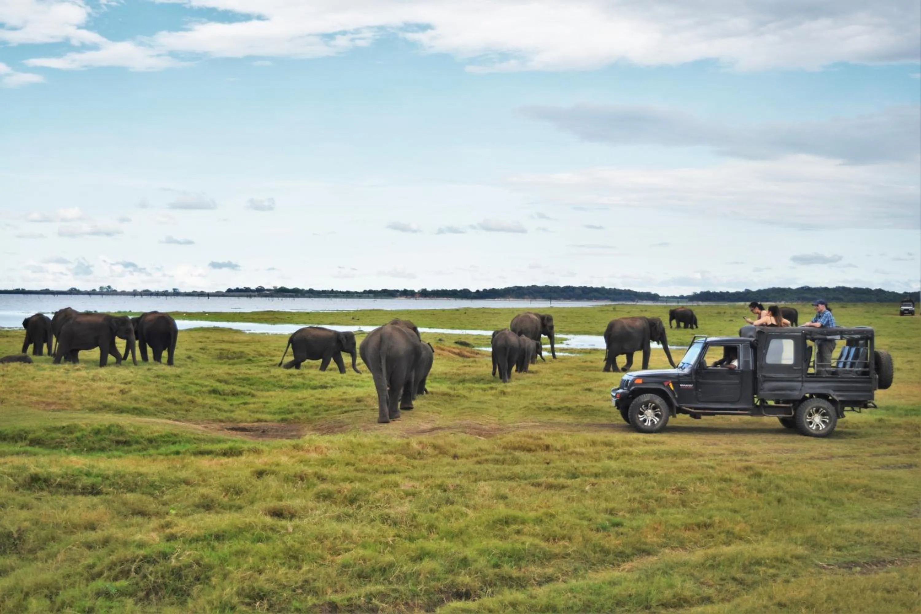 Animals in Green Garden Resort
