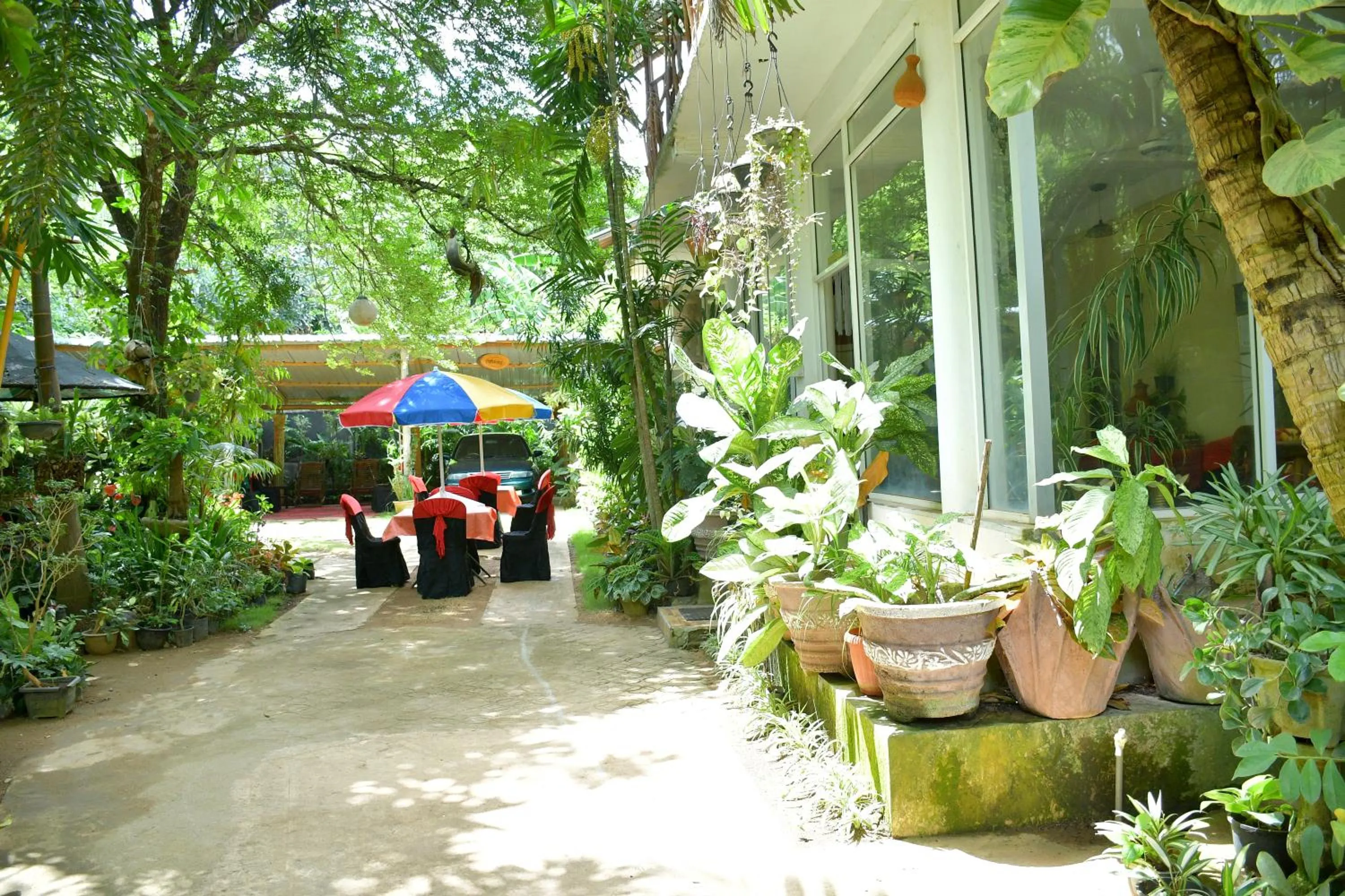 Garden view in Green Garden Resort