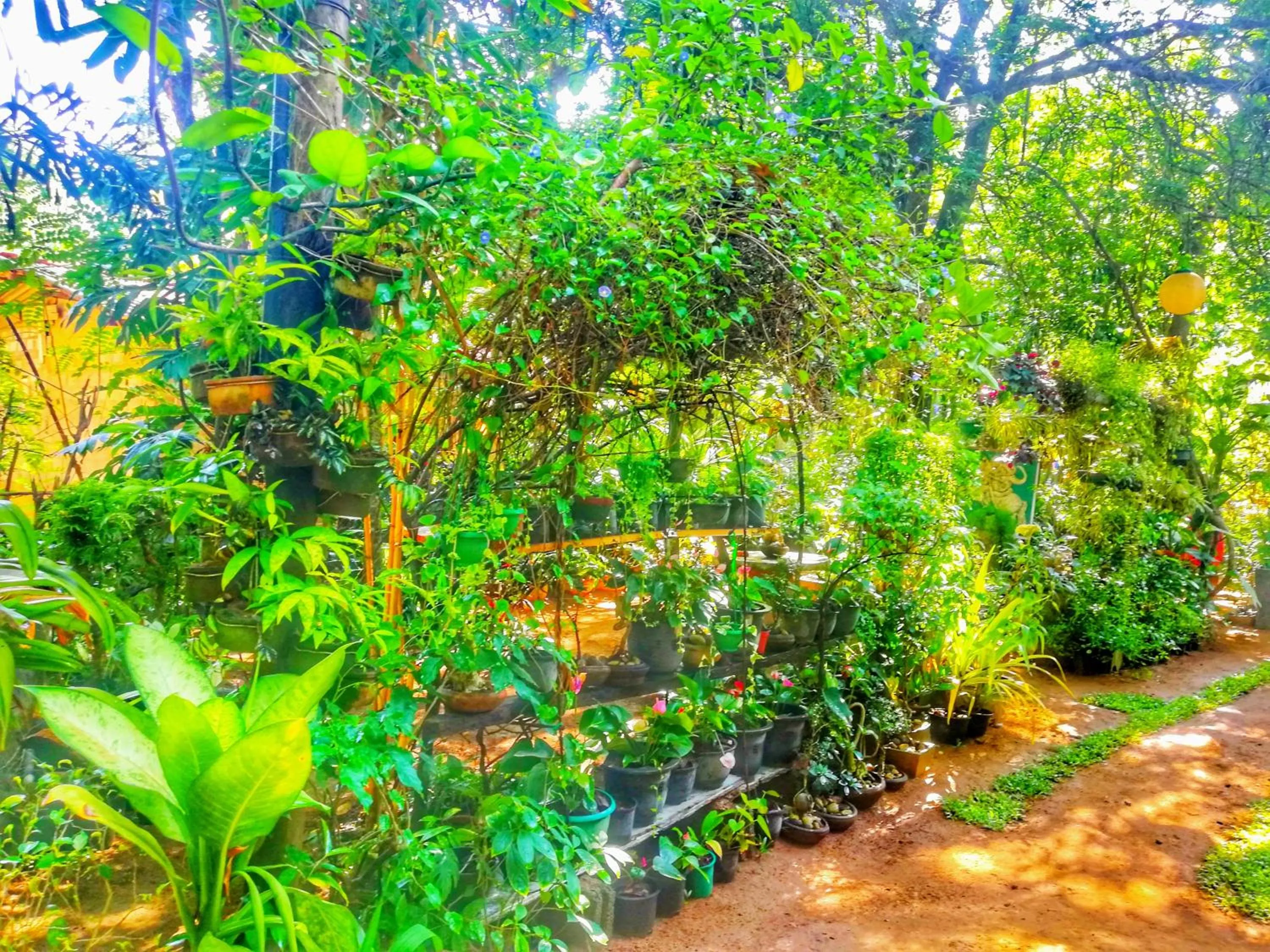 Natural landscape in Green Garden Resort