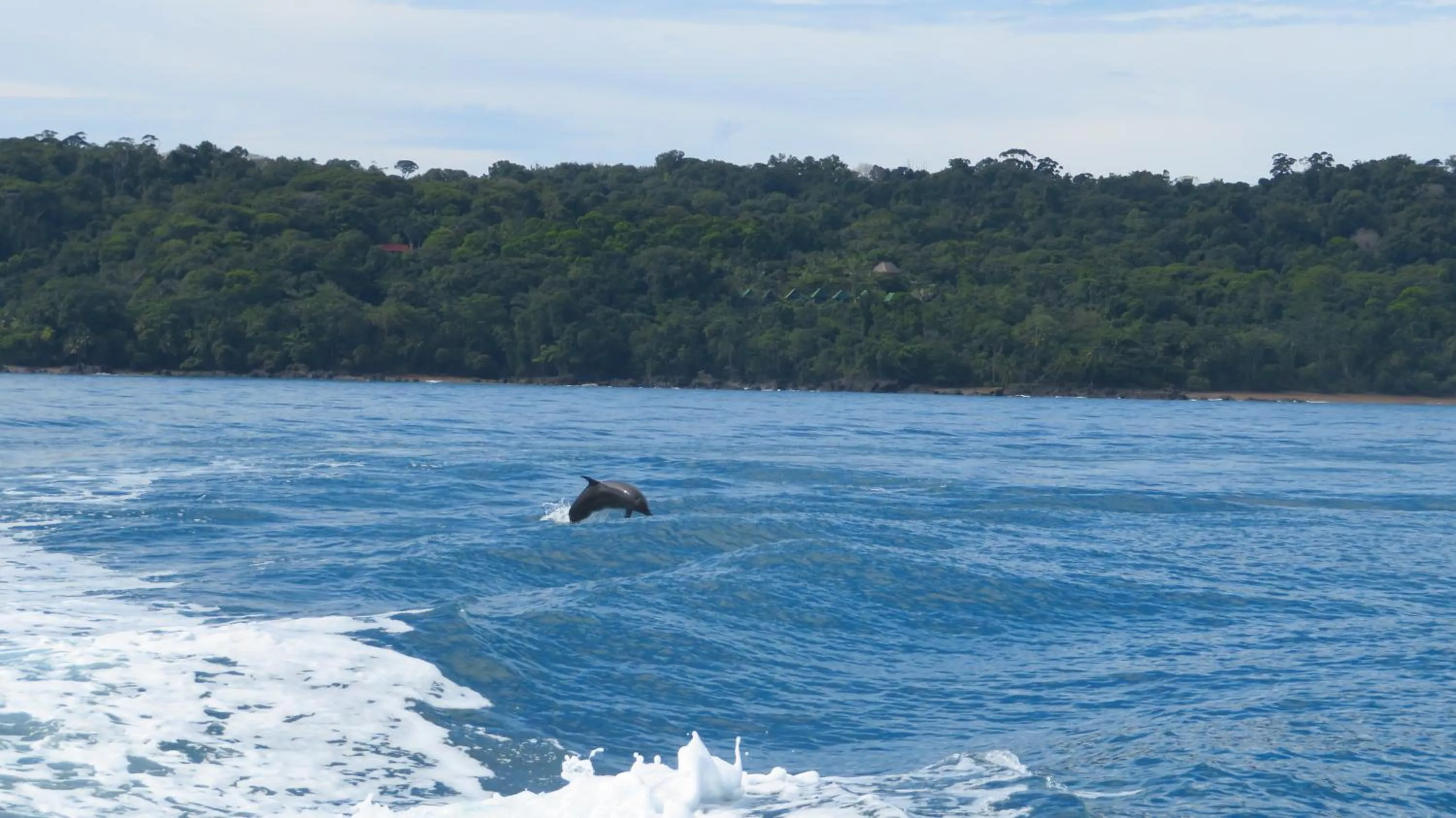 Sea view in Aguila de Osa Rainforest Lodge