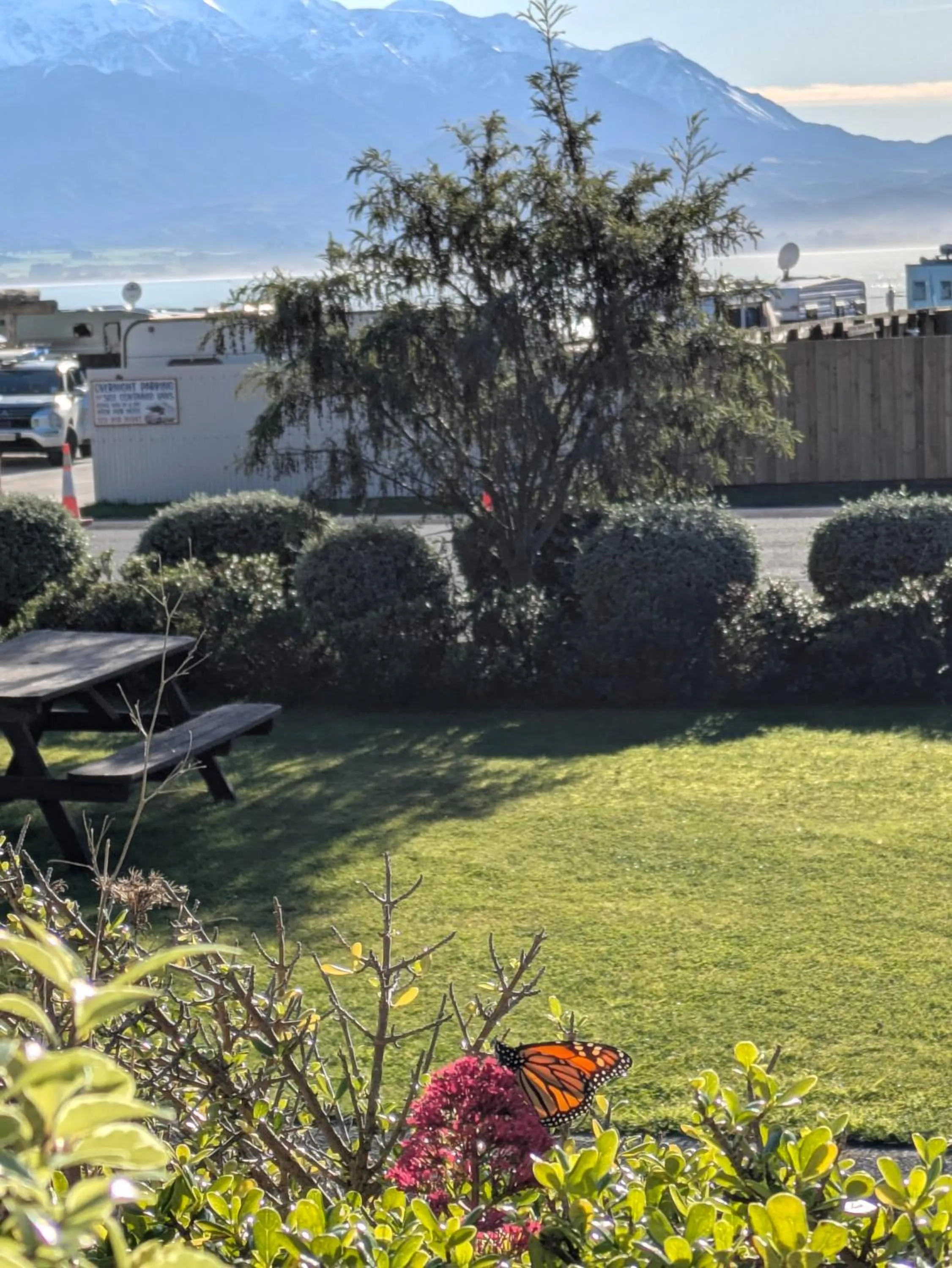 Natural landscape in The Peninsula Kaikoura