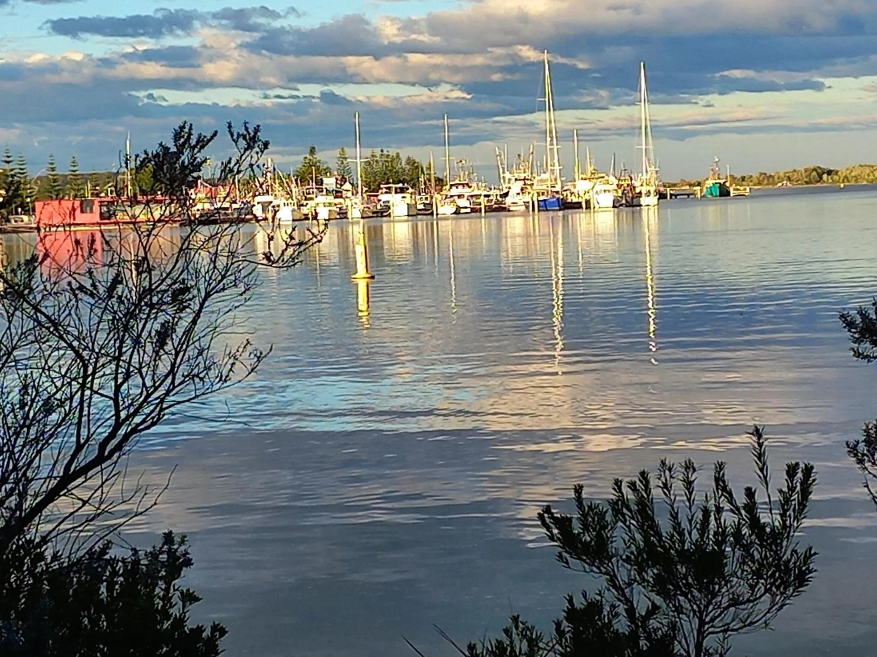 Lake view in Heyfield Motel and Apartments