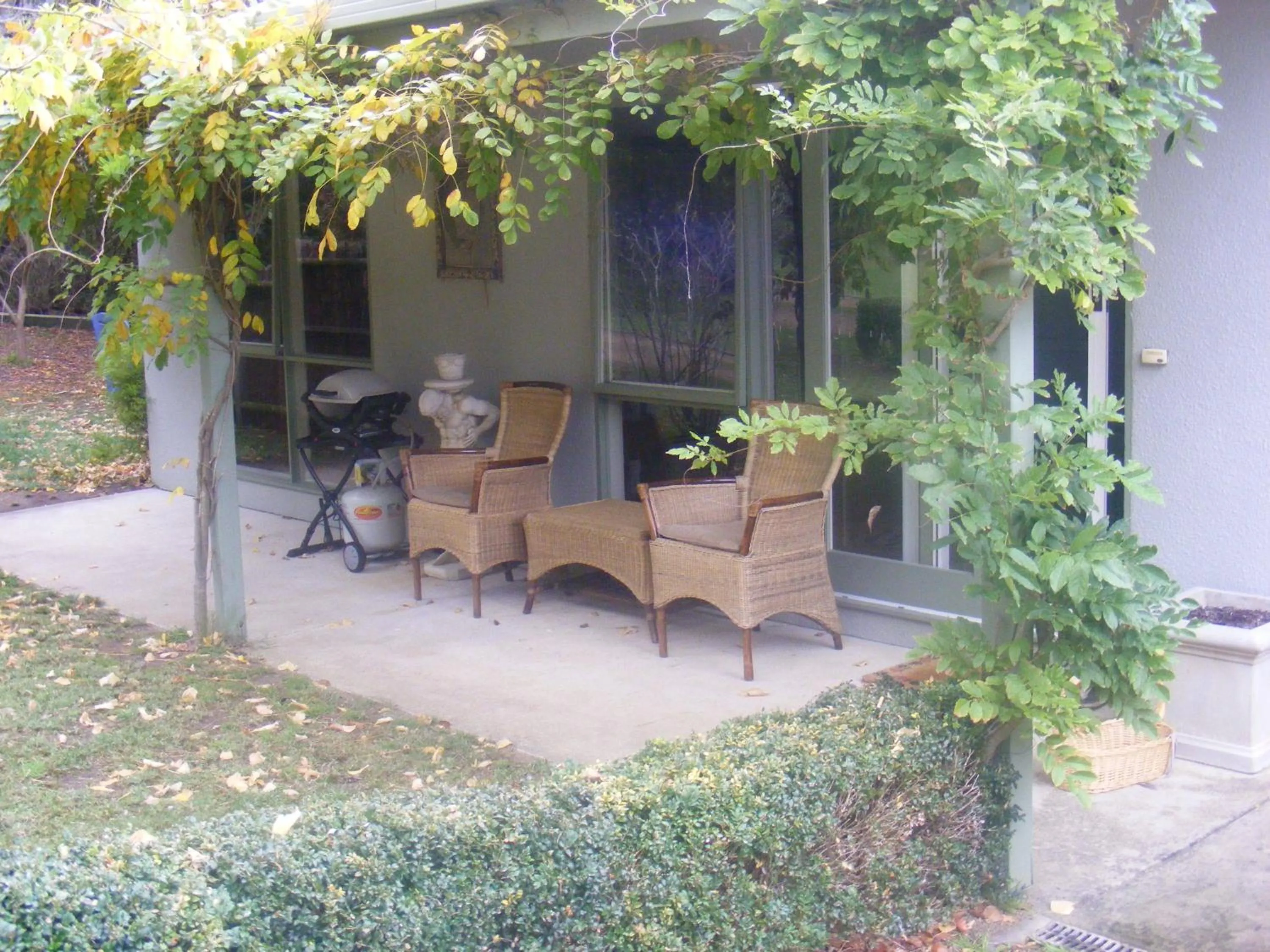 Balcony/Terrace in Weeroona Bed And Breakfast