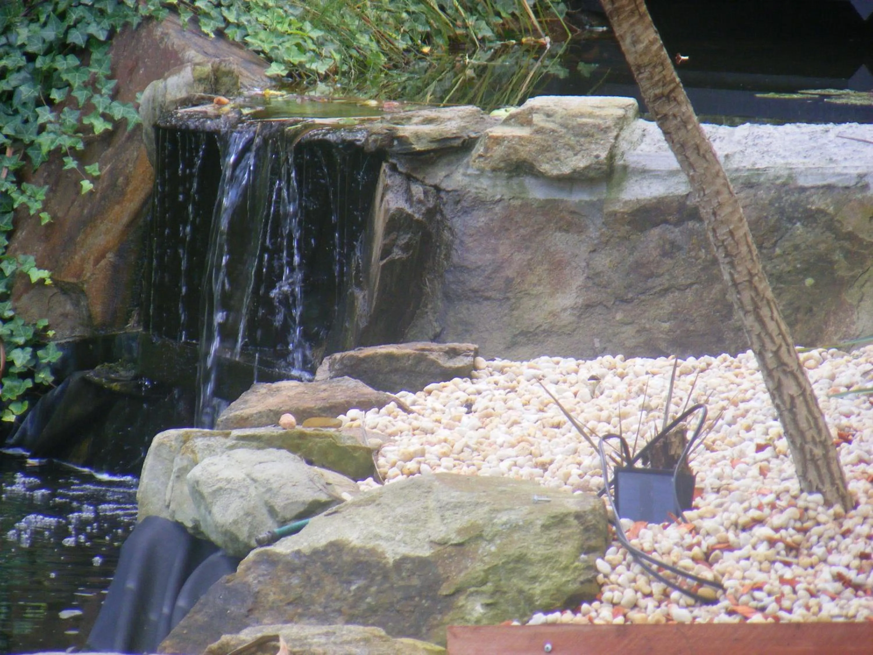 Garden in Weeroona Bed And Breakfast
