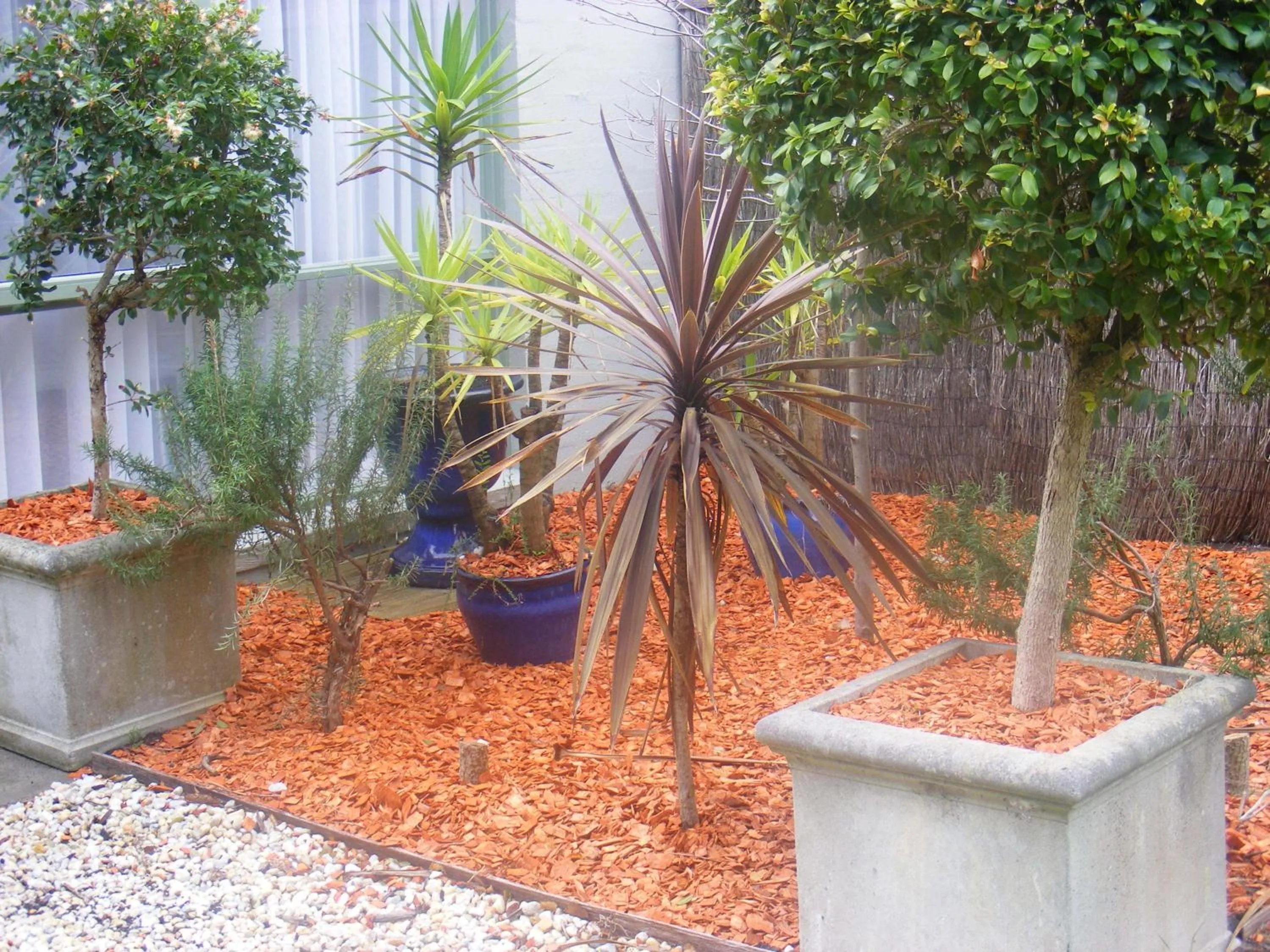 Garden in Weeroona Bed And Breakfast