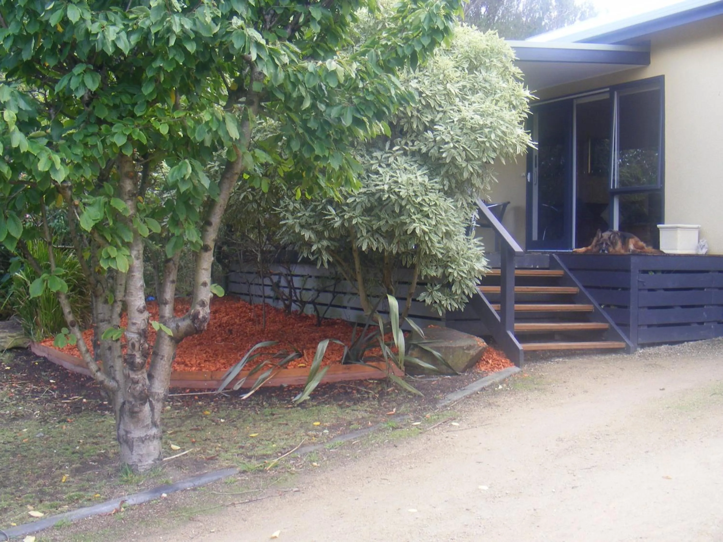 Balcony/Terrace in Weeroona Bed And Breakfast
