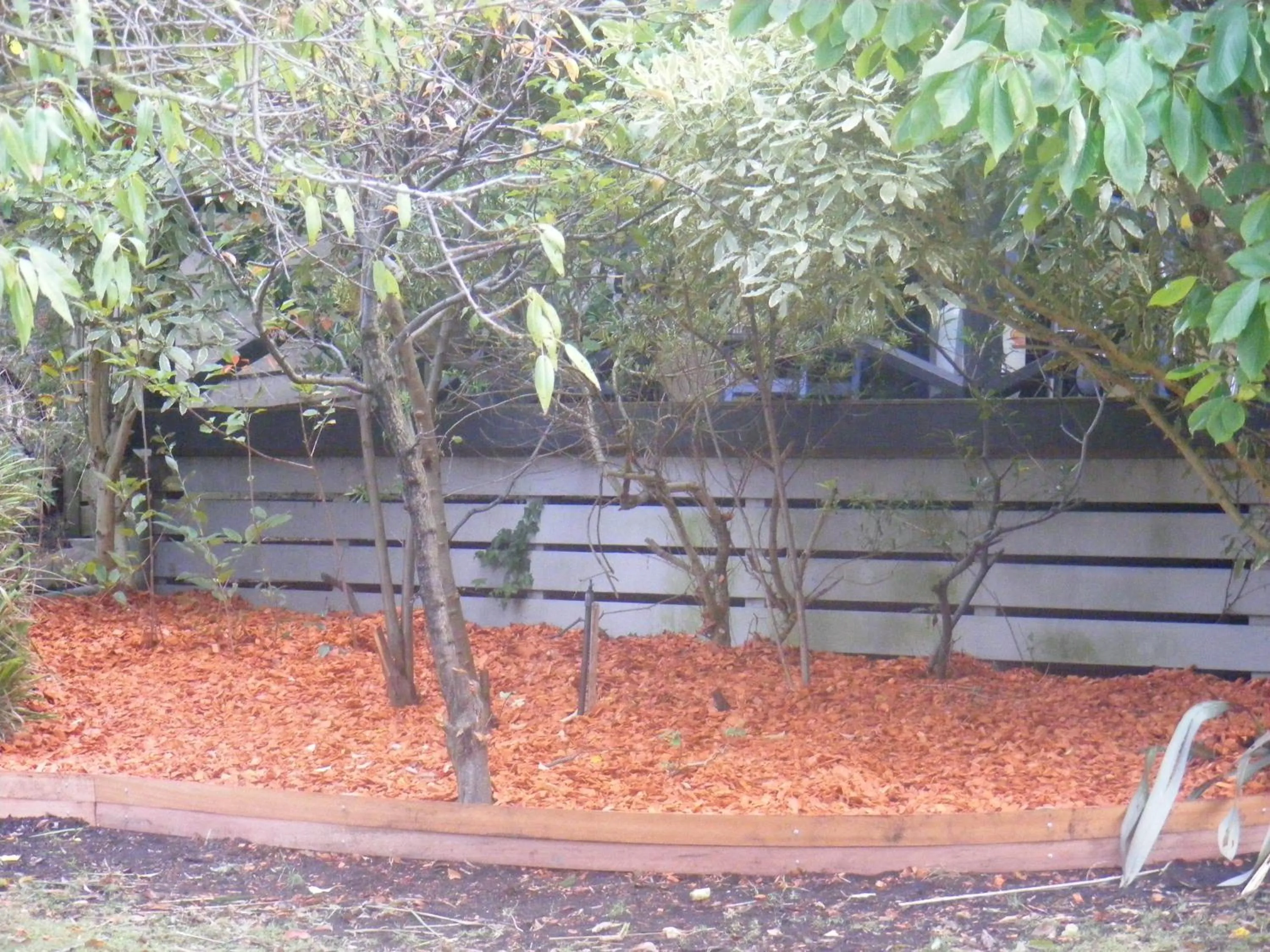 Garden in Weeroona Bed And Breakfast