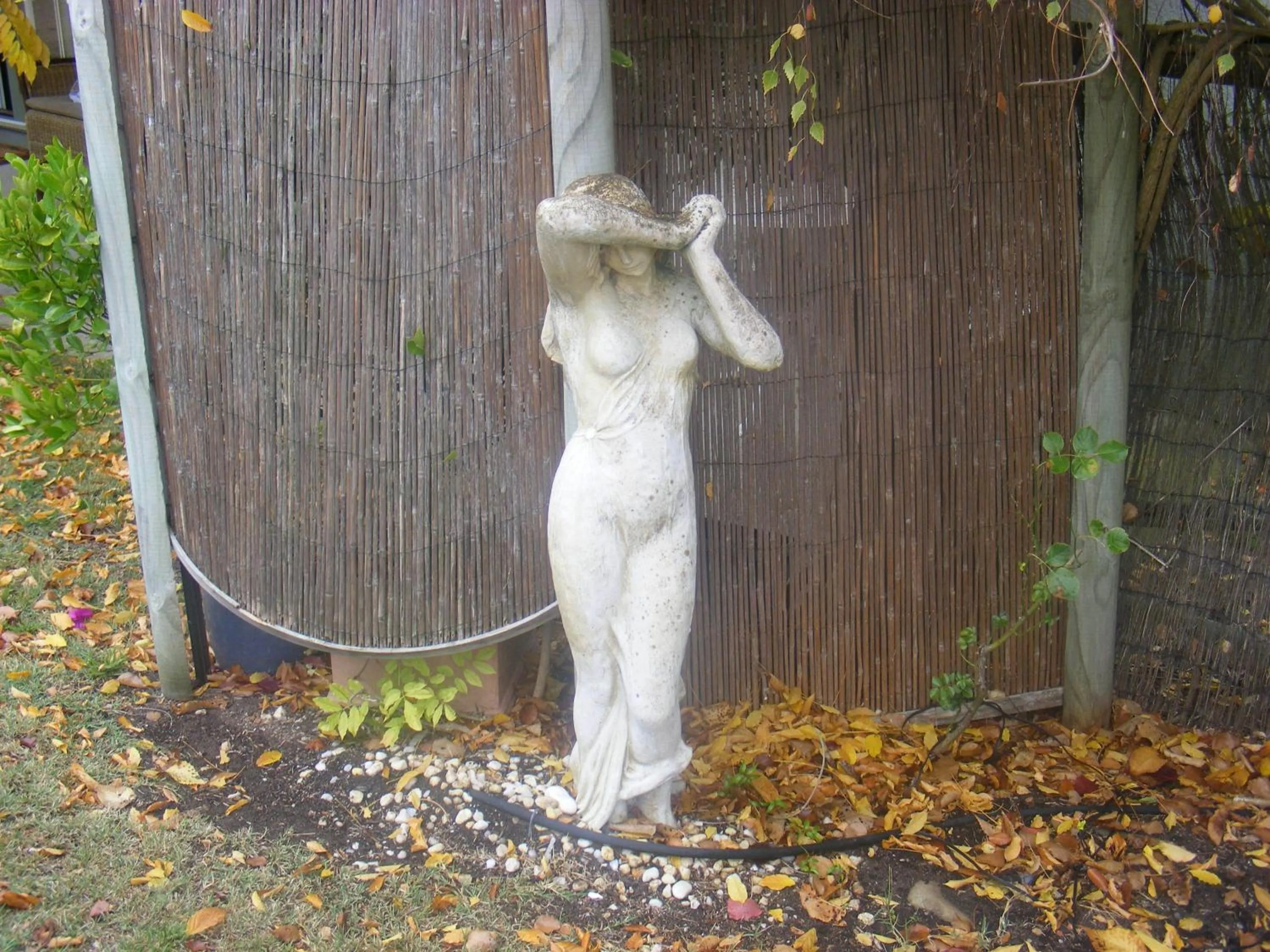 Garden in Weeroona Bed And Breakfast