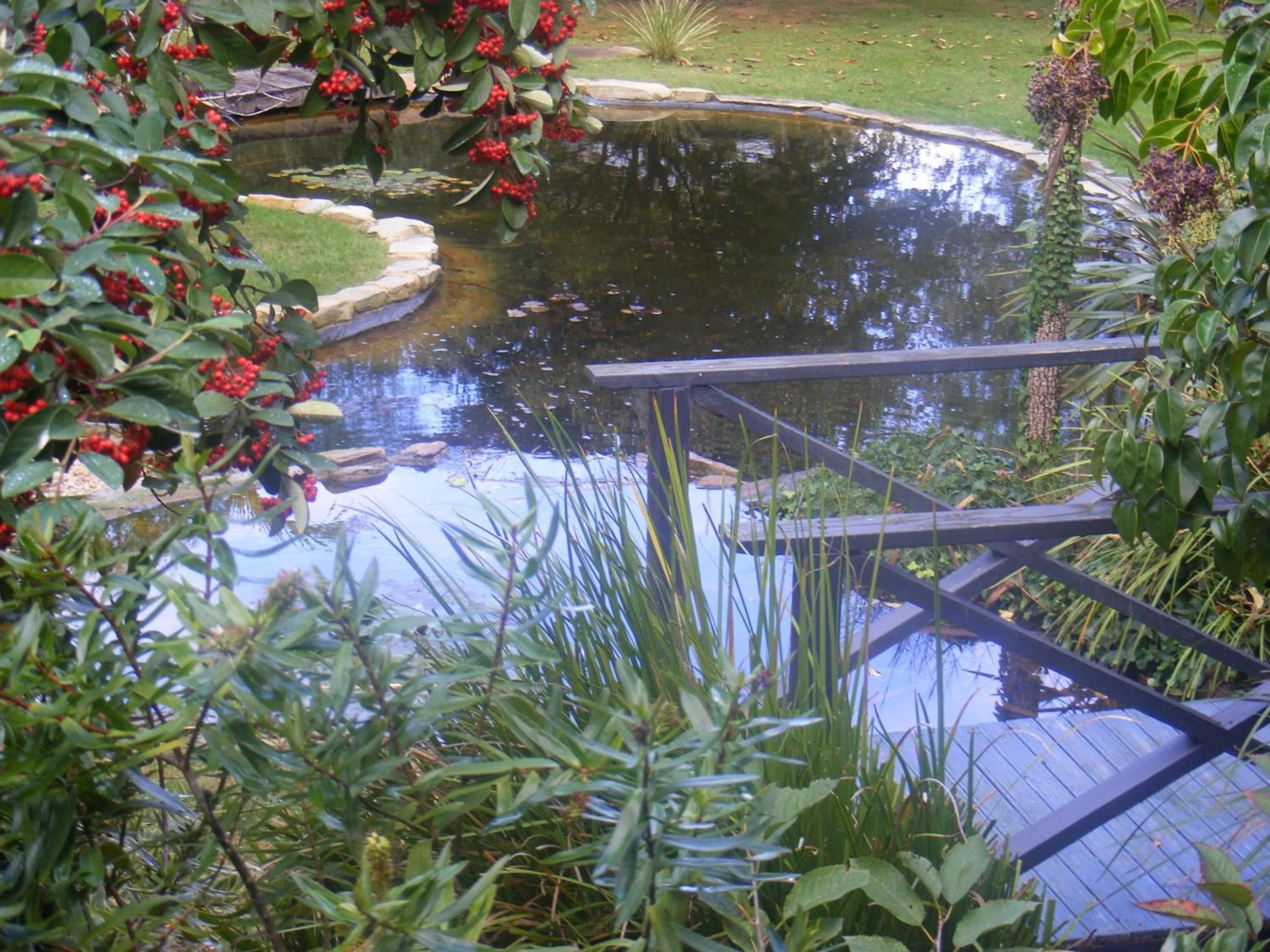 Garden view in Weeroona Bed And Breakfast