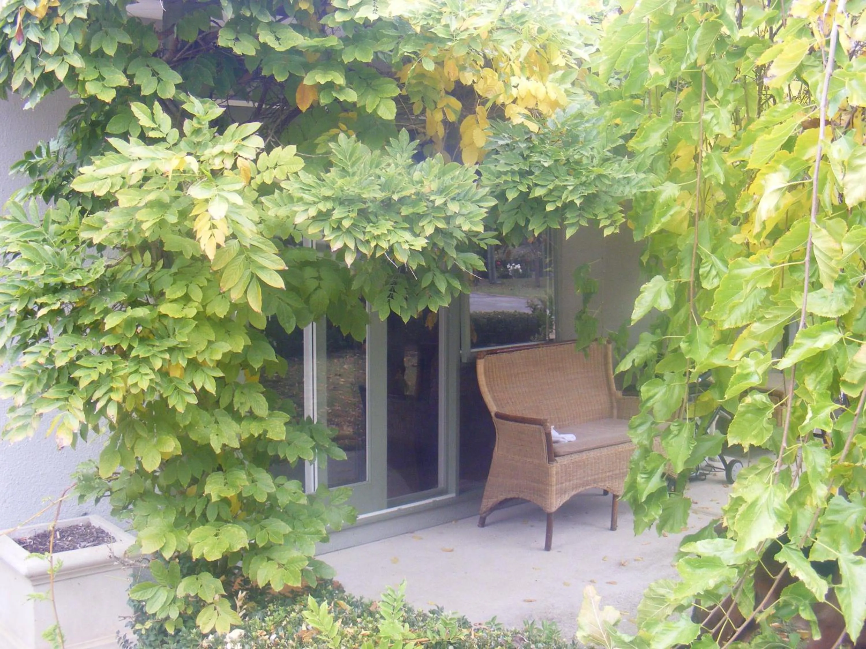 Balcony/Terrace in Weeroona Bed And Breakfast