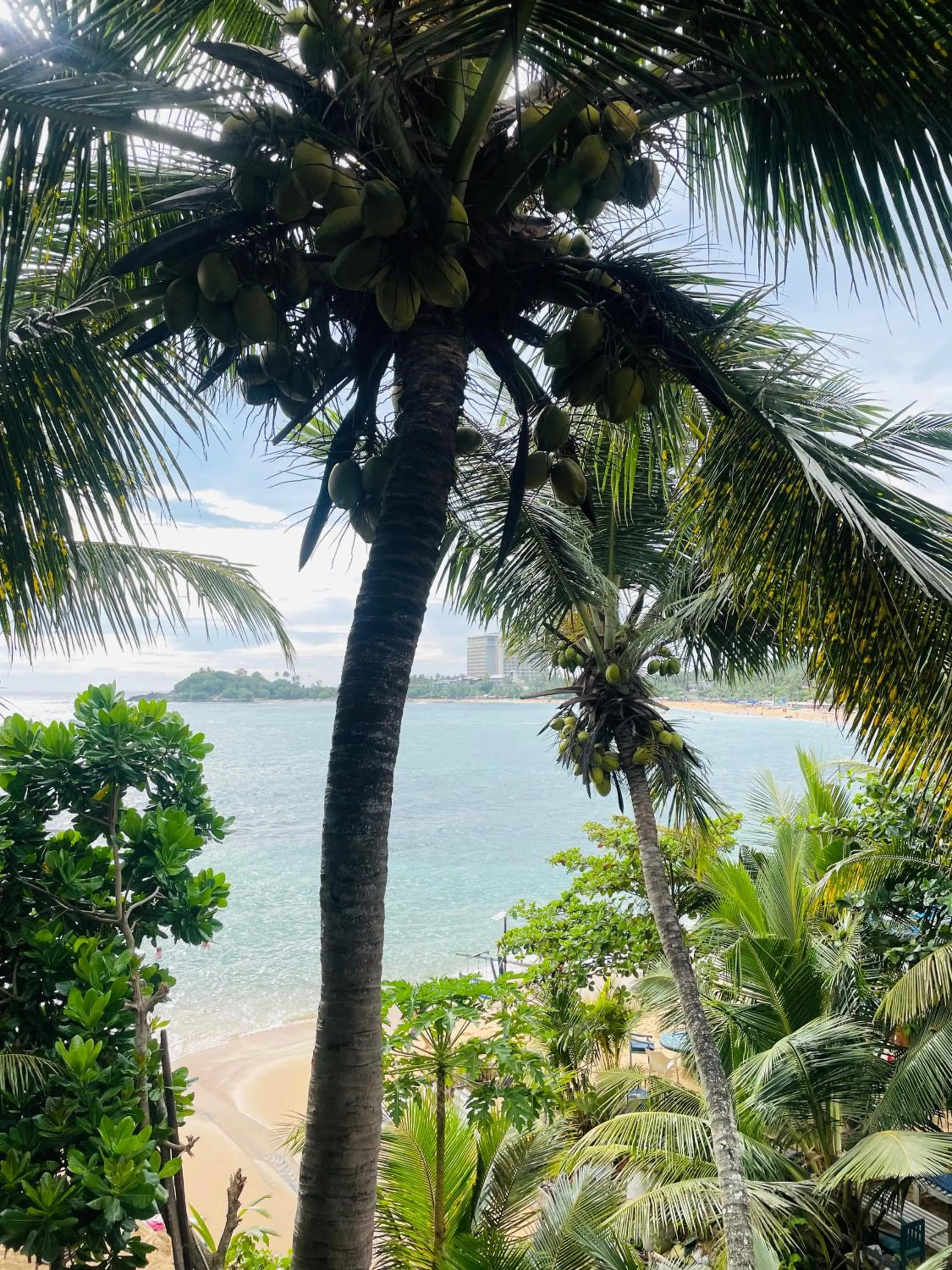 Sunset Colony Beach Resort