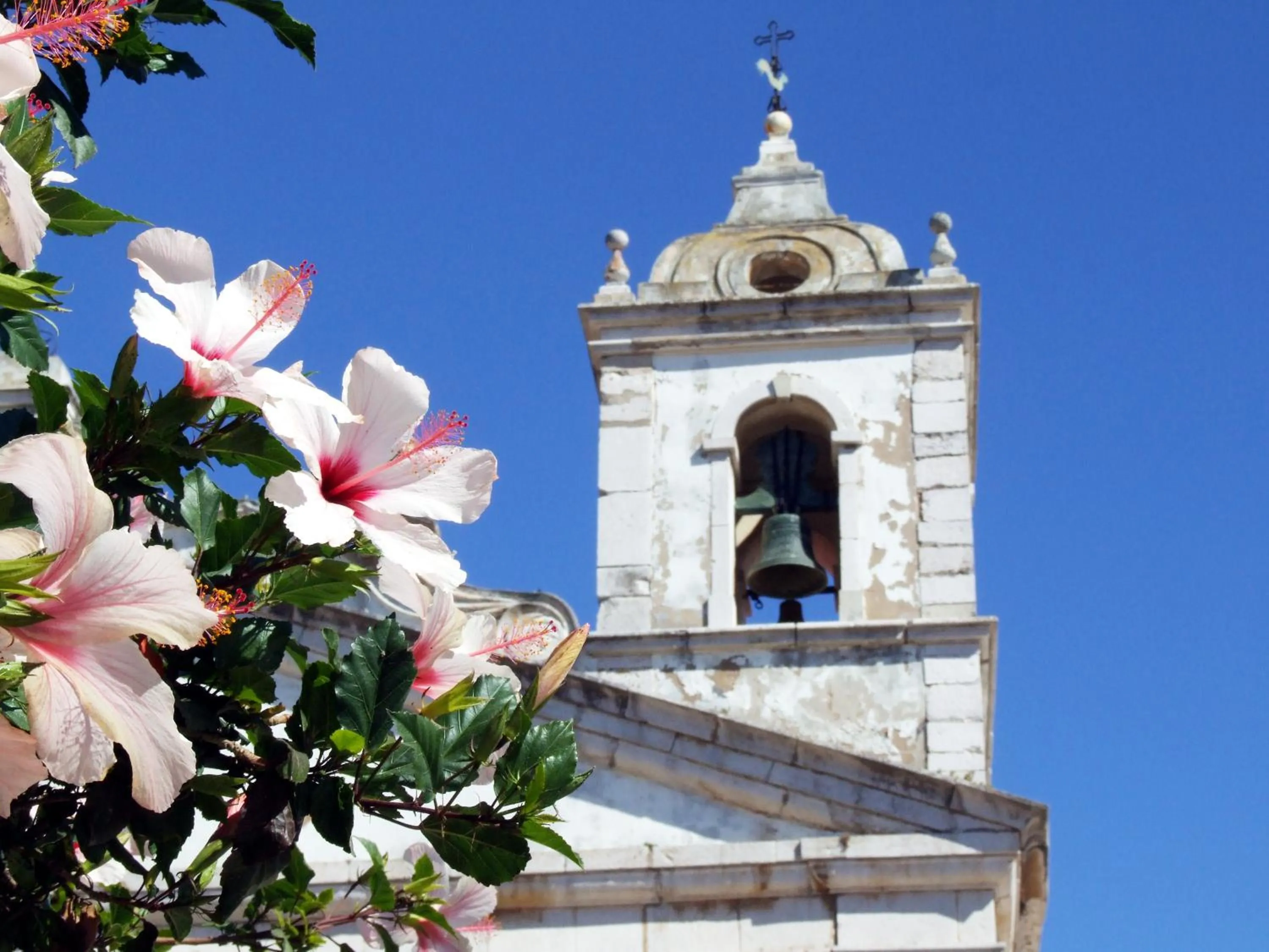 Area and facilities in Hotel Riomar