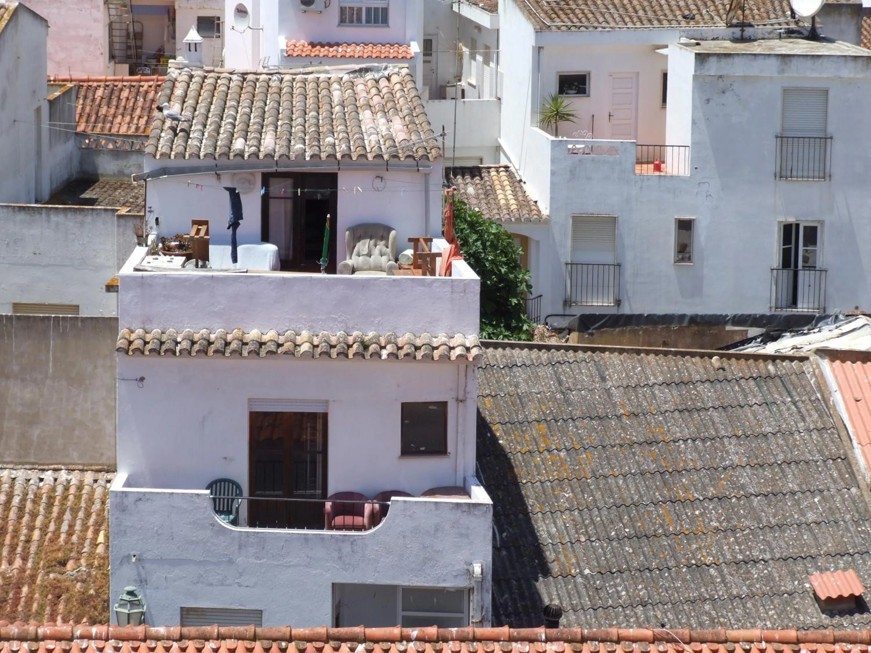 Area and facilities in Hotel Riomar