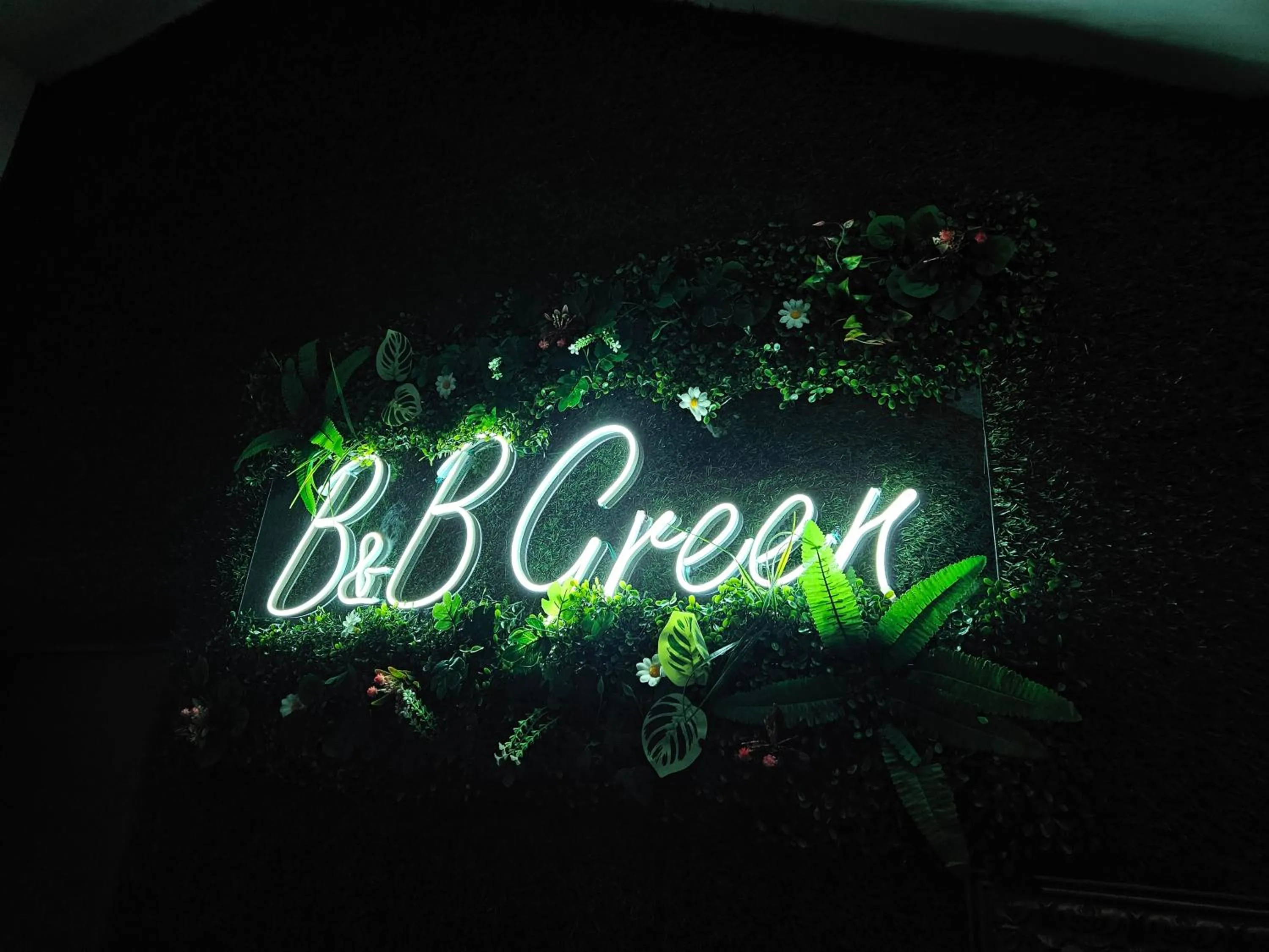 B&B Green