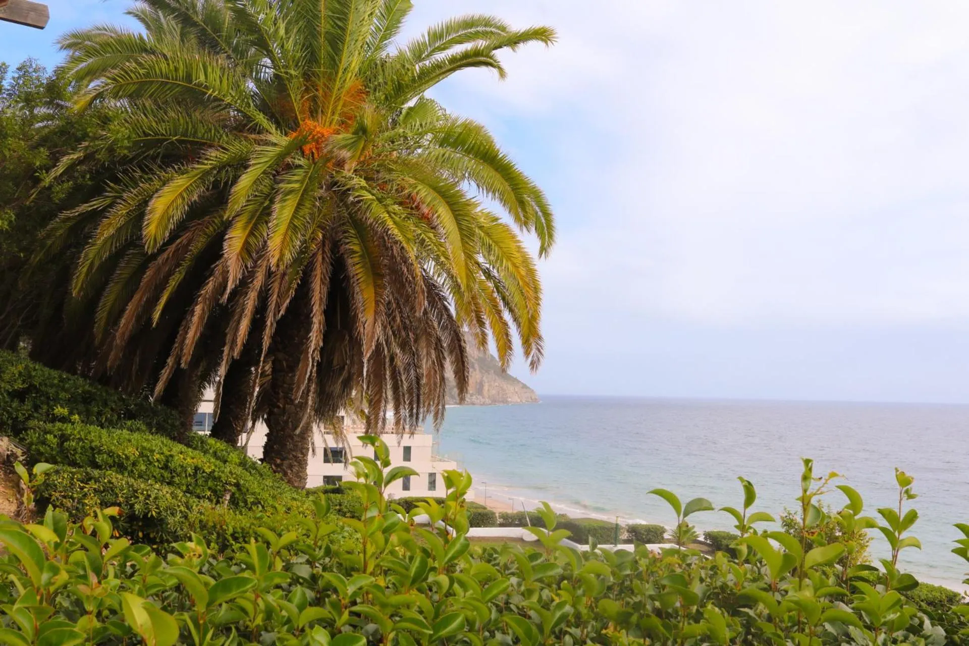 Garden in Hotel do Mar