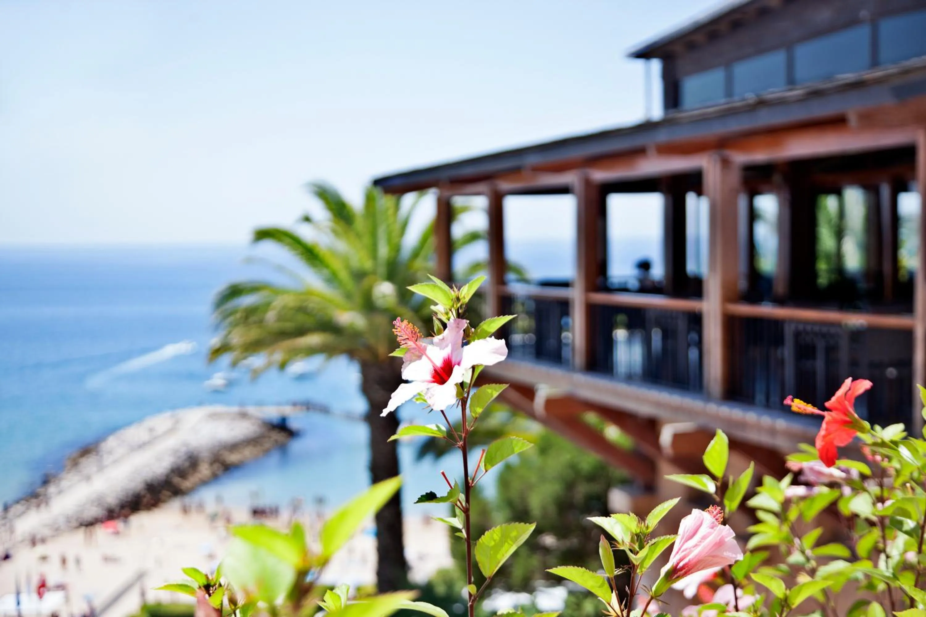 View (from property/room) in Hotel do Mar